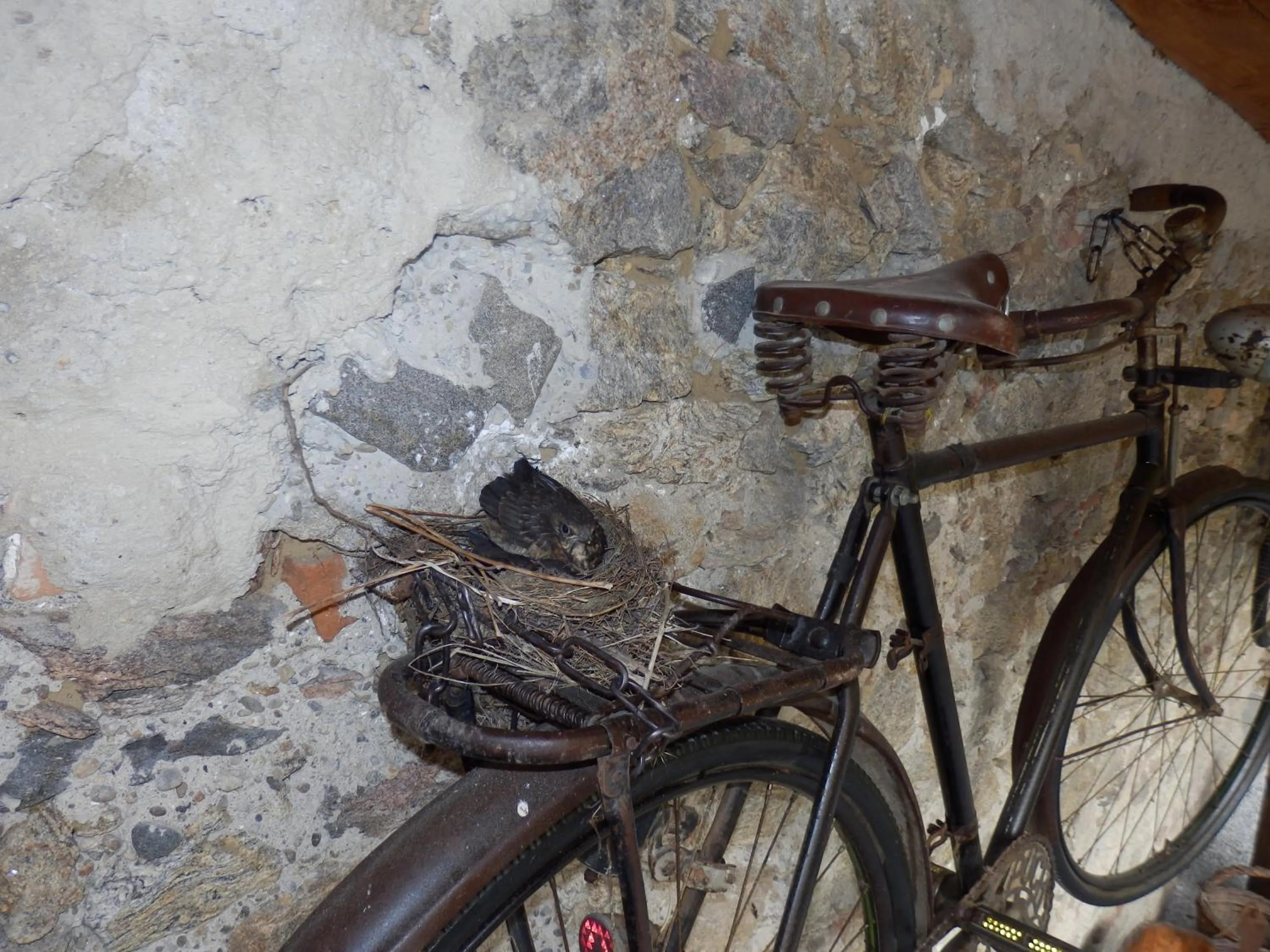 Decorative detail in Heritage Dürnstein