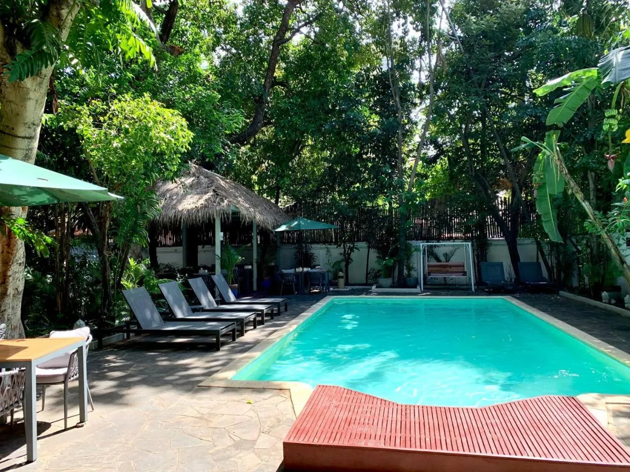 Swimming pool in Jungle Addition