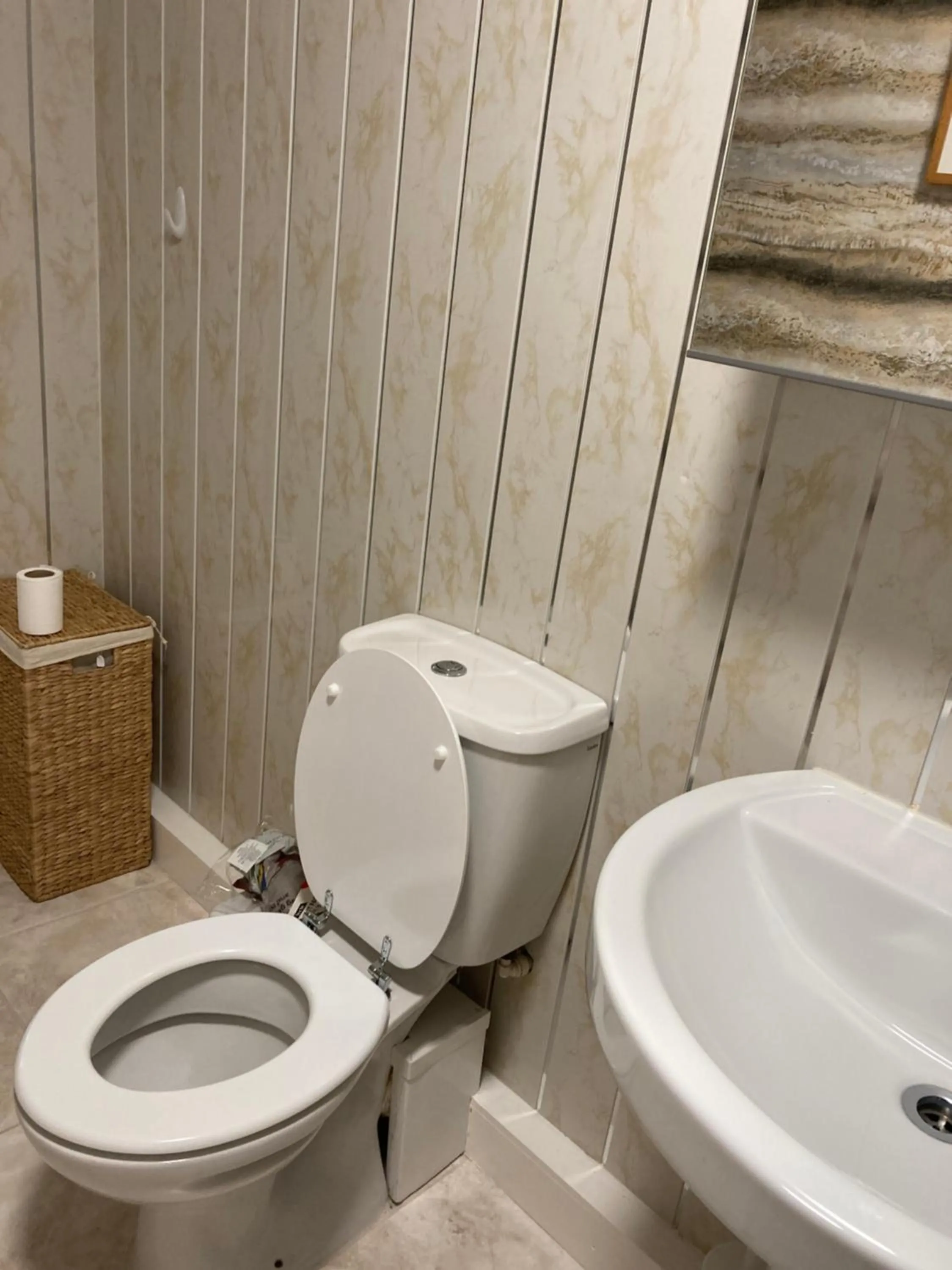 Toilet in A wave from it all