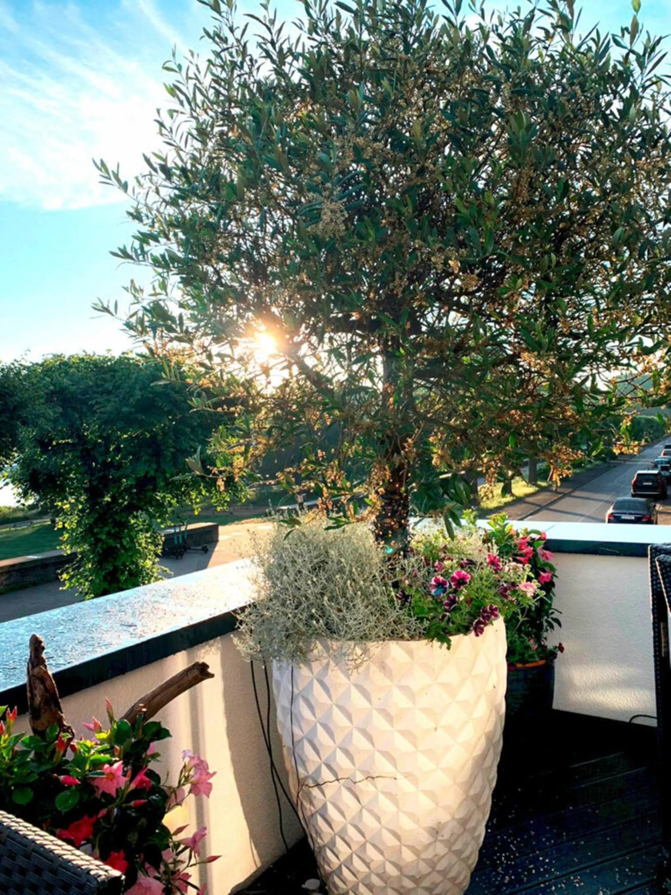 View (from property/room) in Villahotel Rheinblick