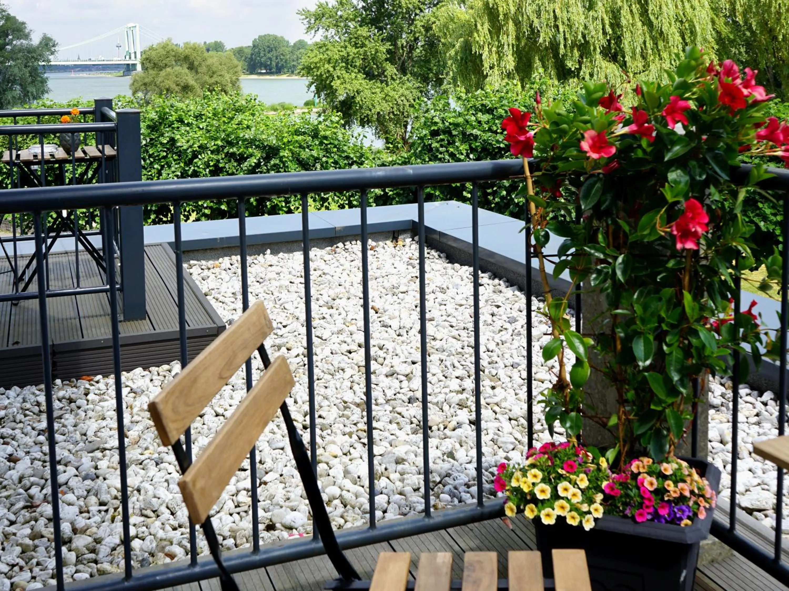 View (from property/room) in Villahotel Rheinblick