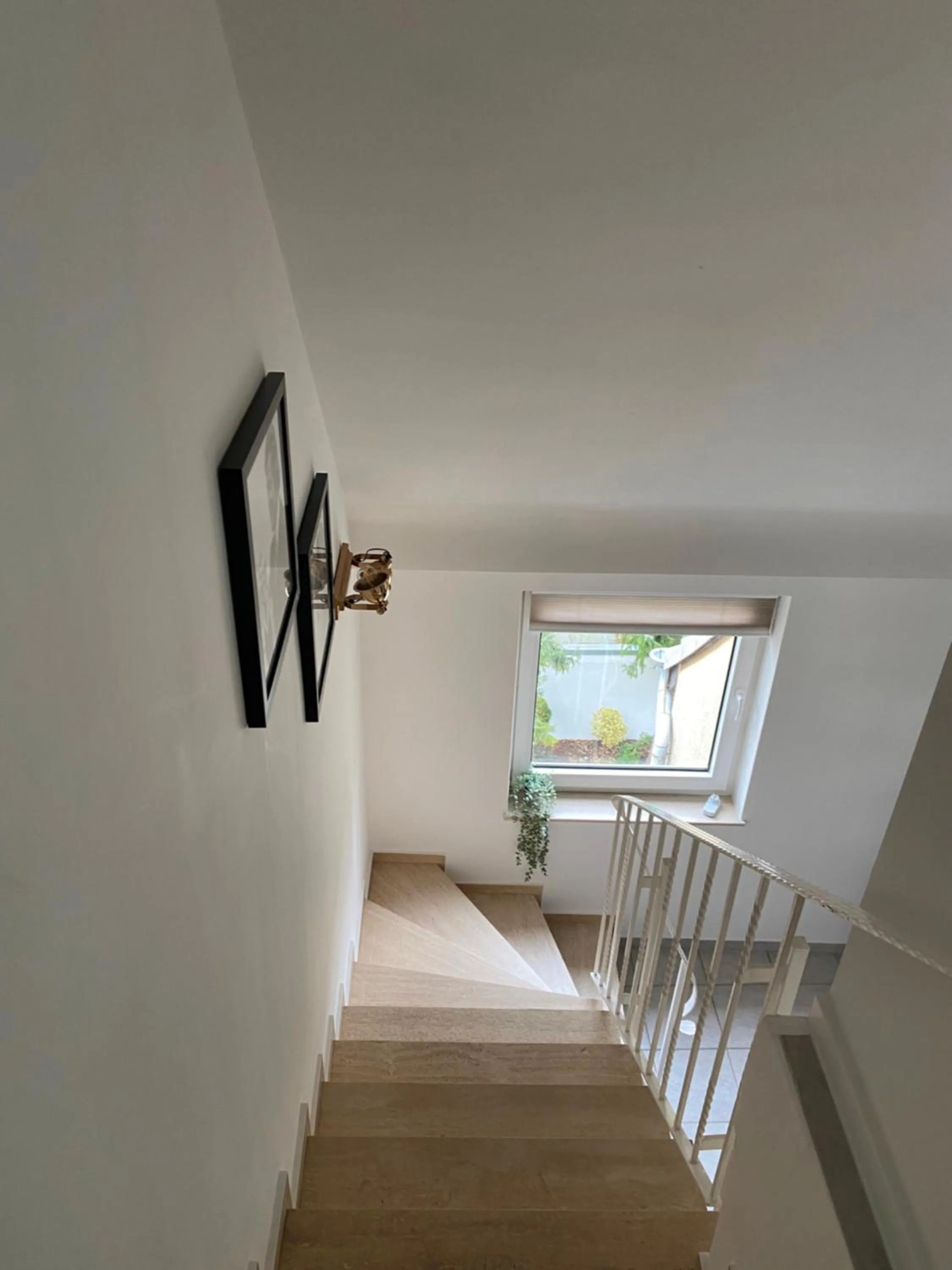 Photo of the whole room in Rheinblick Apartments