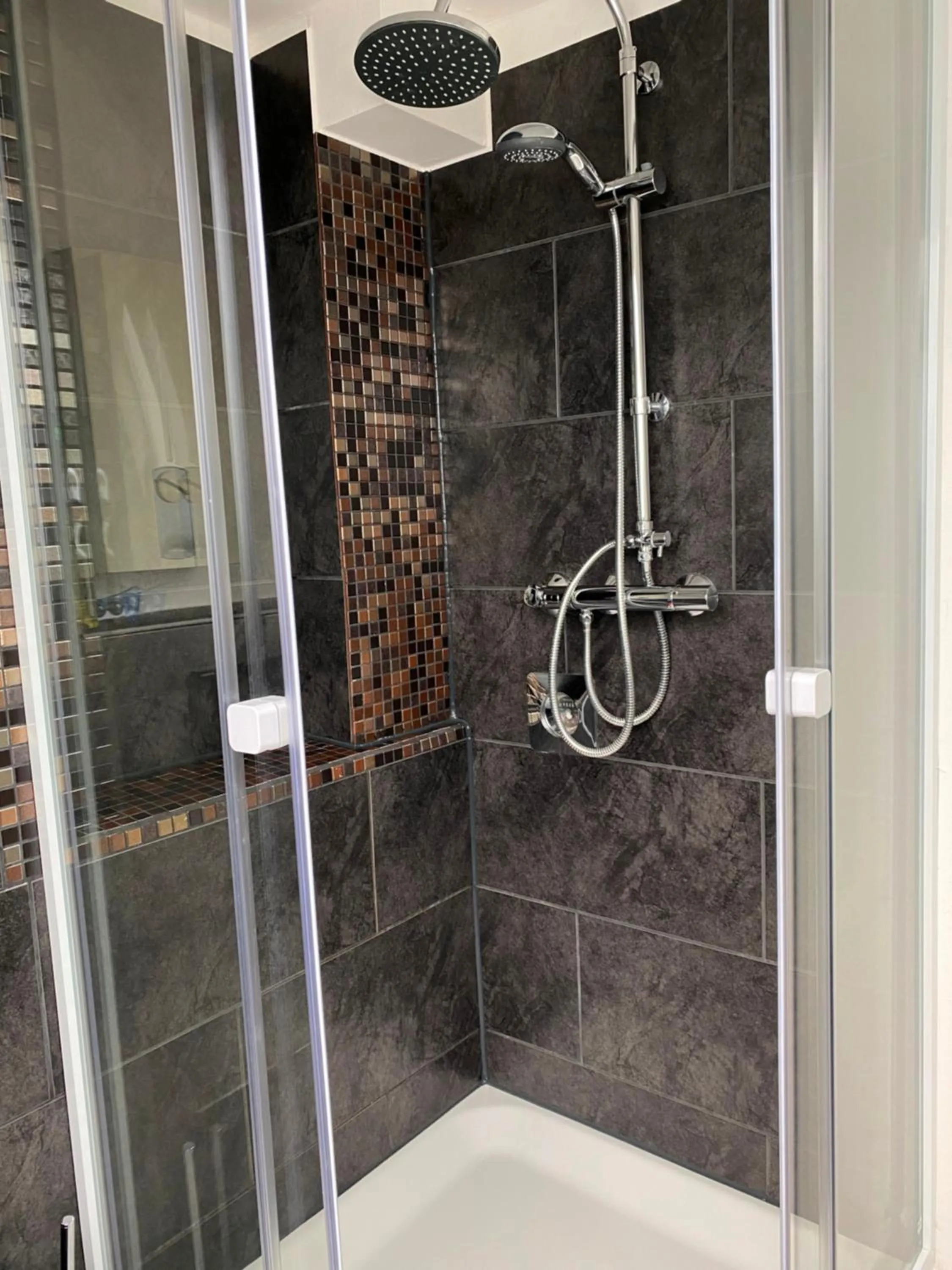 Shower in Rheinblick Apartments