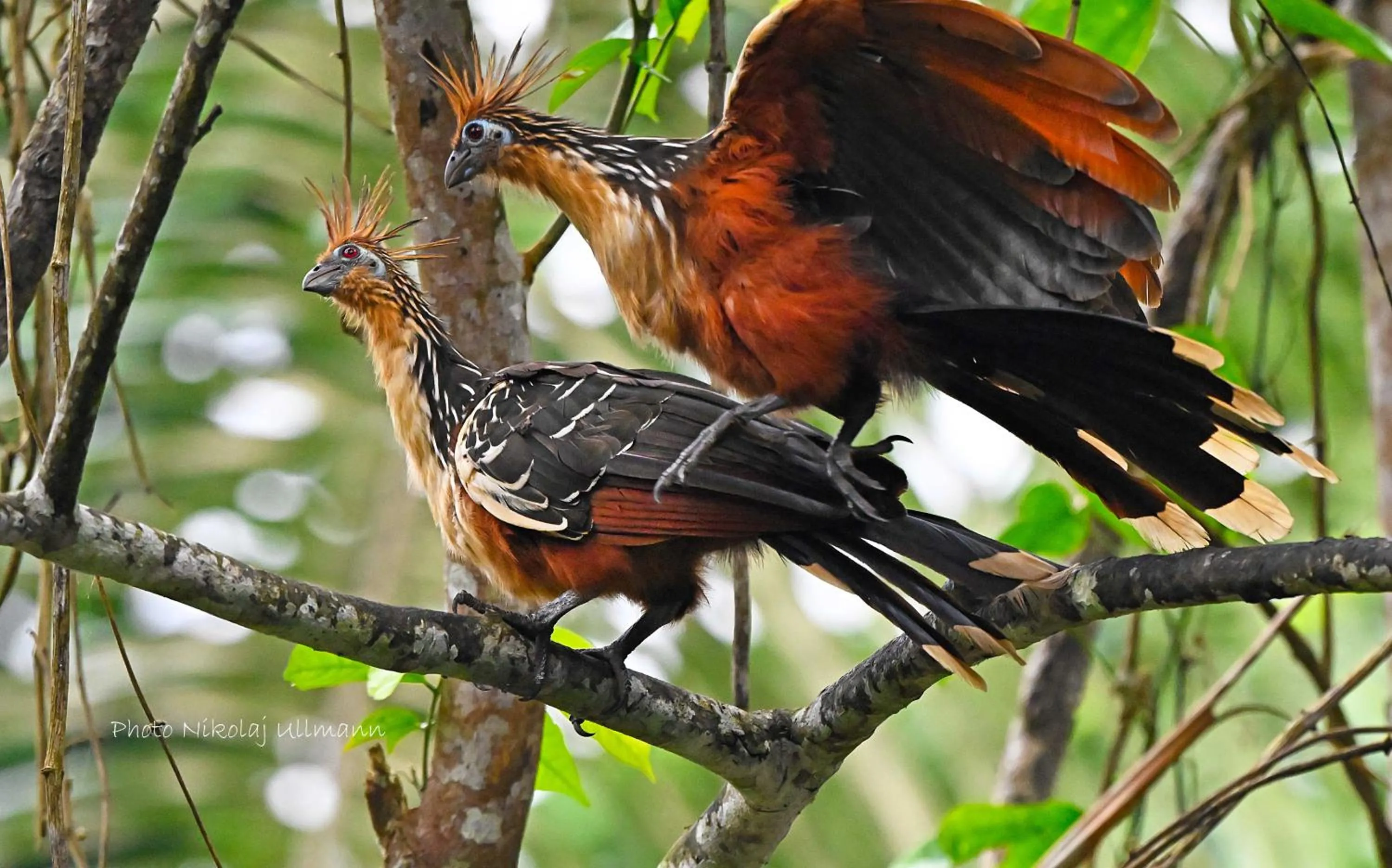 Day in Grand Selva Lodge & Tours