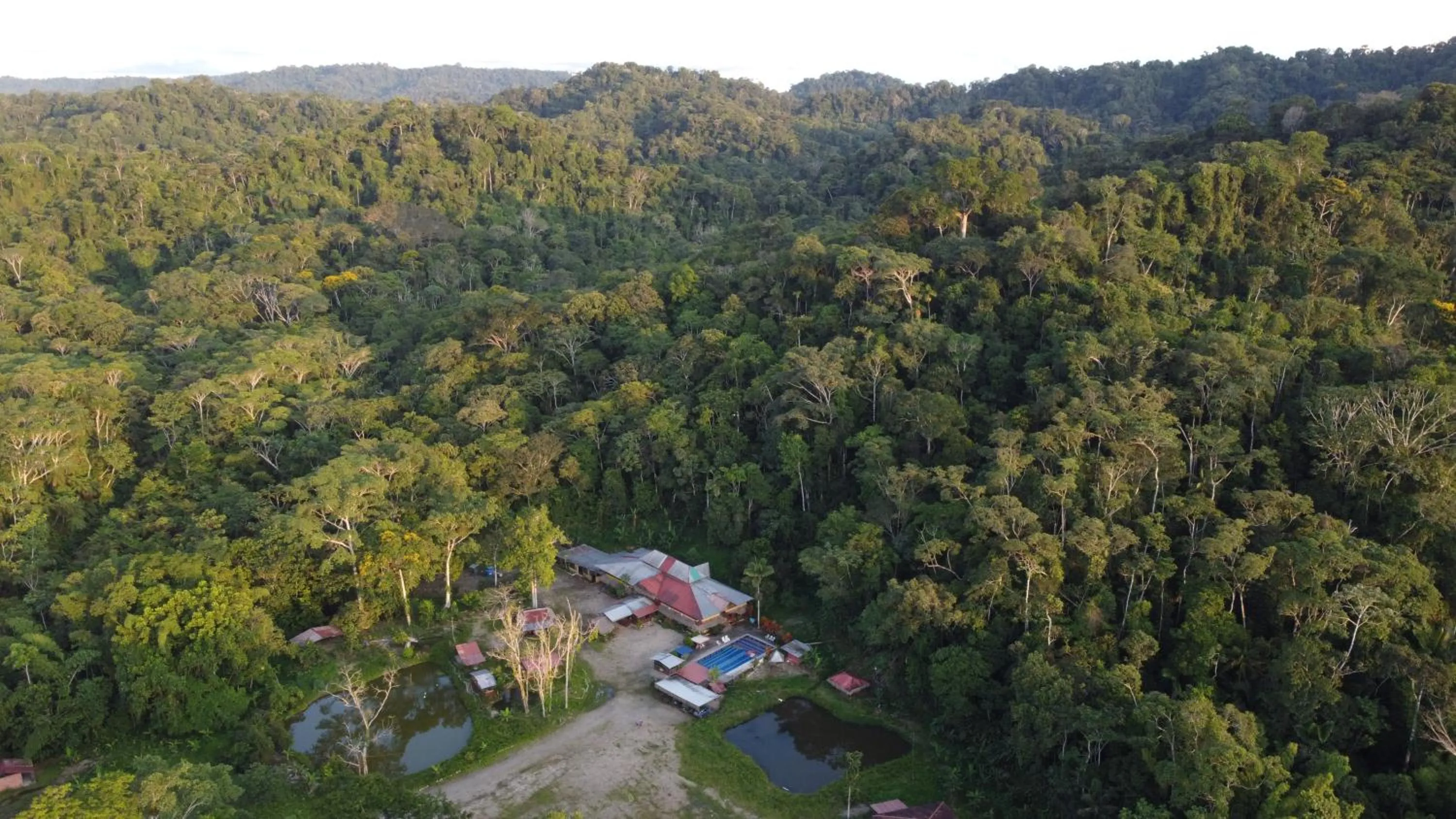 Natural landscape in Grand Selva Lodge & Tours