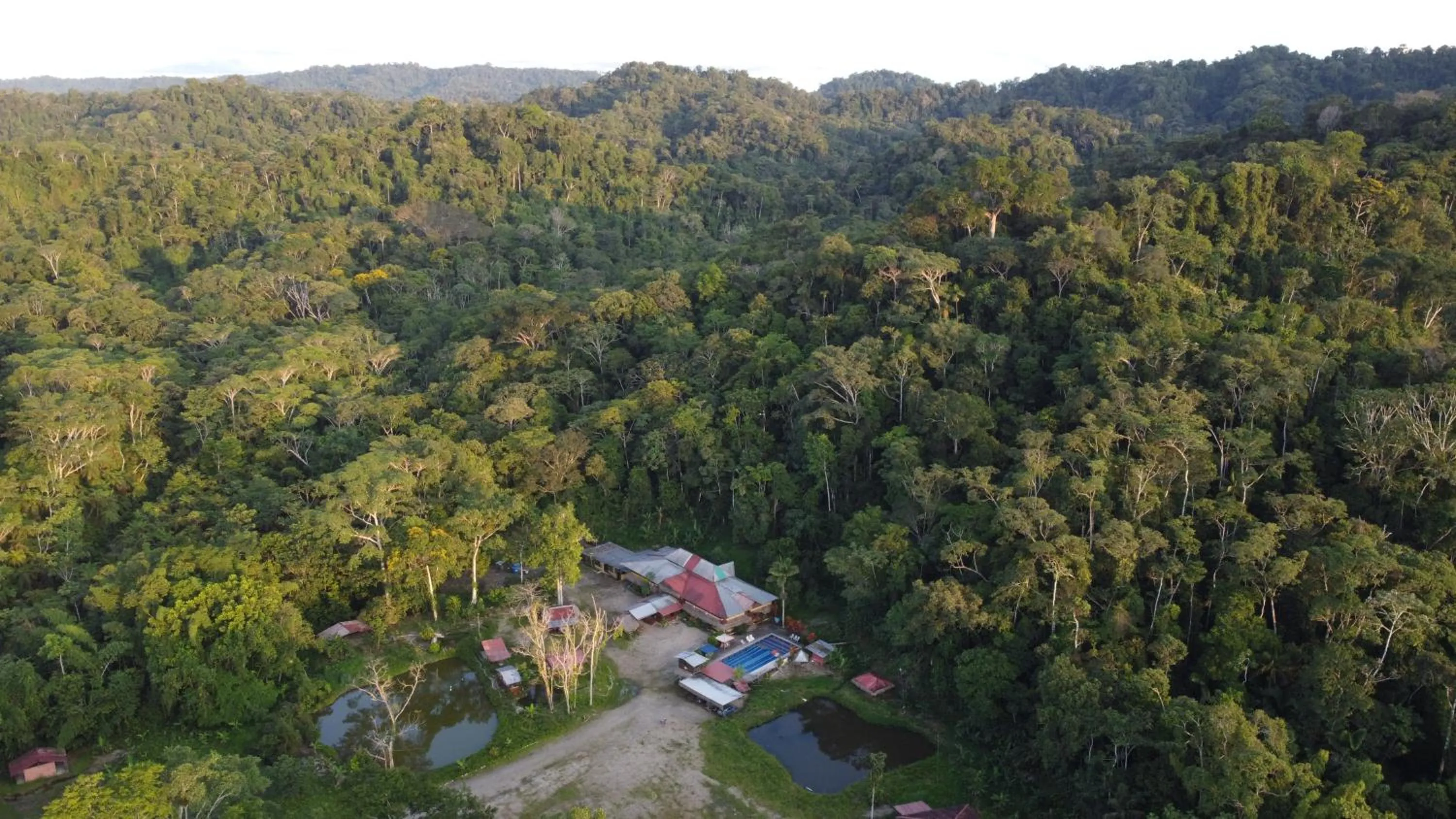 Bird's eye view in Grand Selva Lodge & Tours