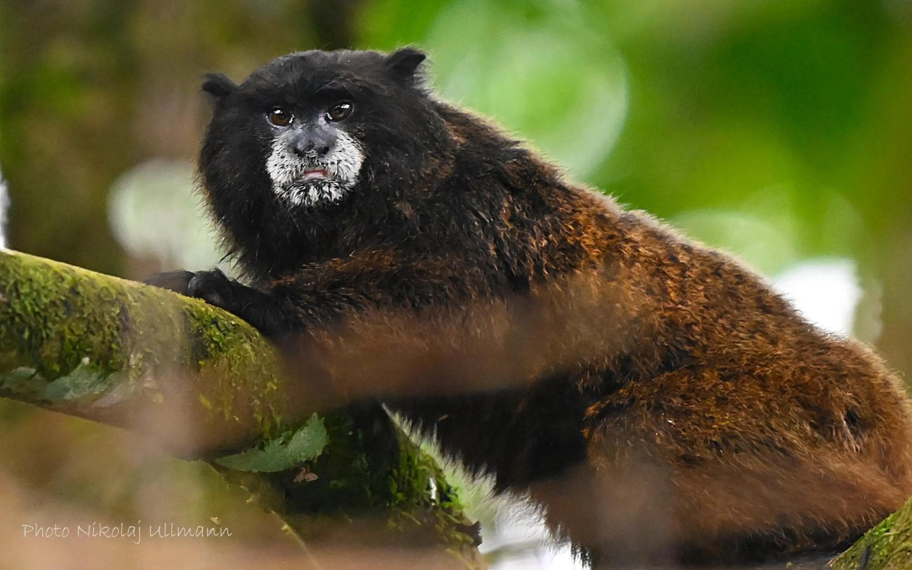 Day in Grand Selva Lodge & Tours