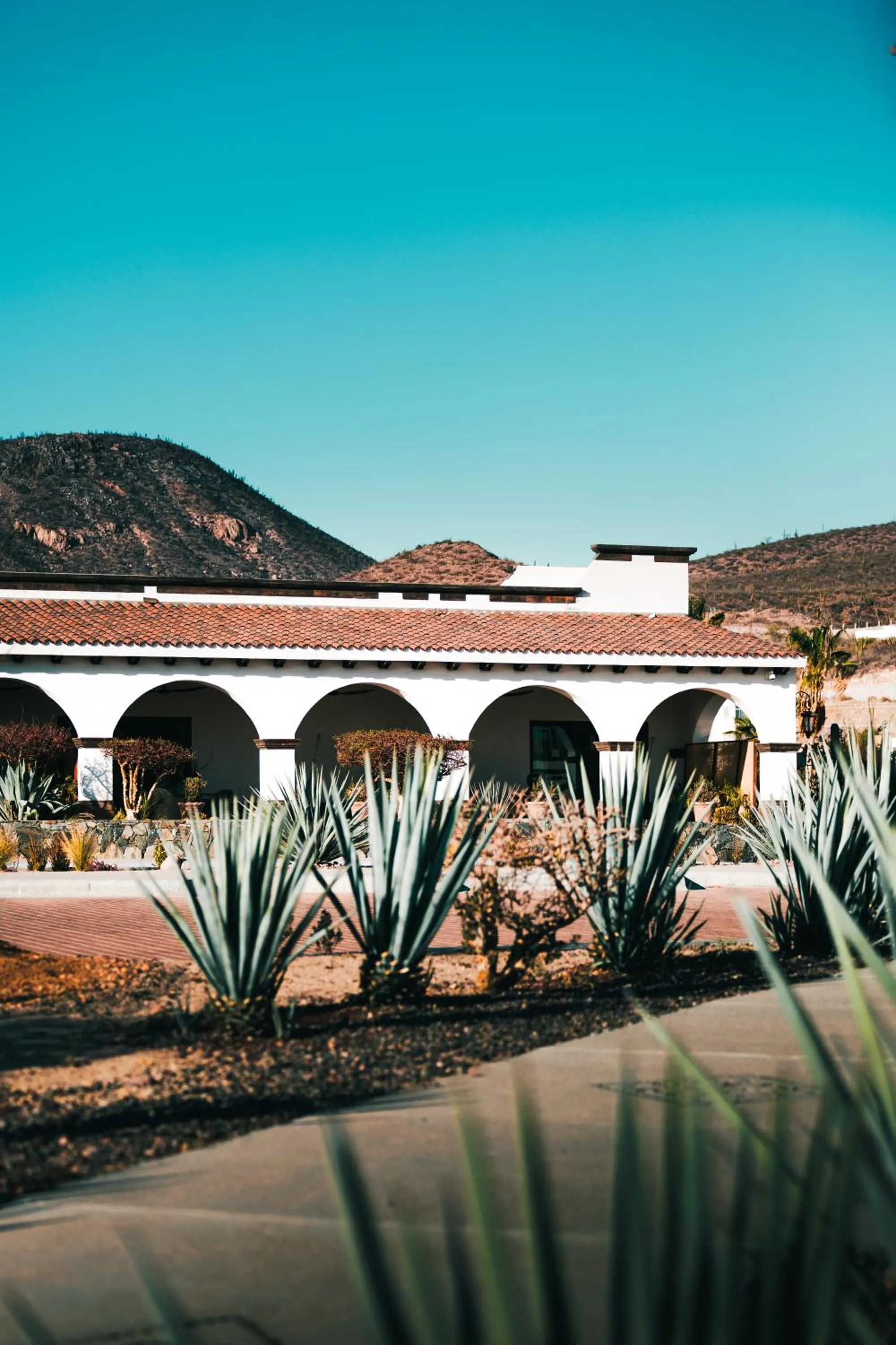 Property building in Orchid House Baja