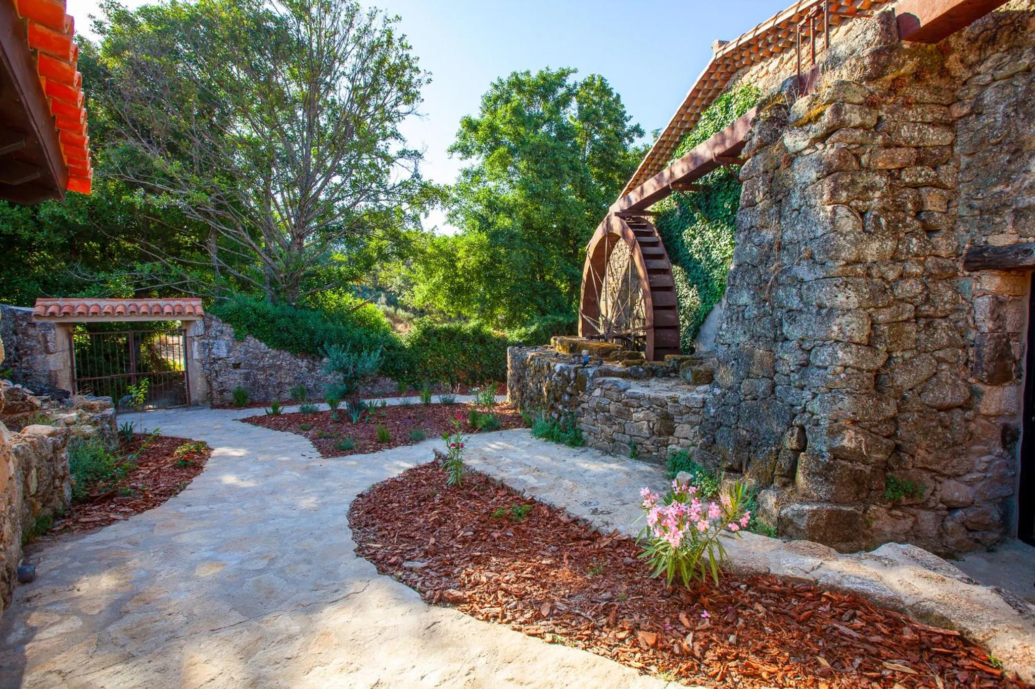 Garden in Aqua Et Oleum