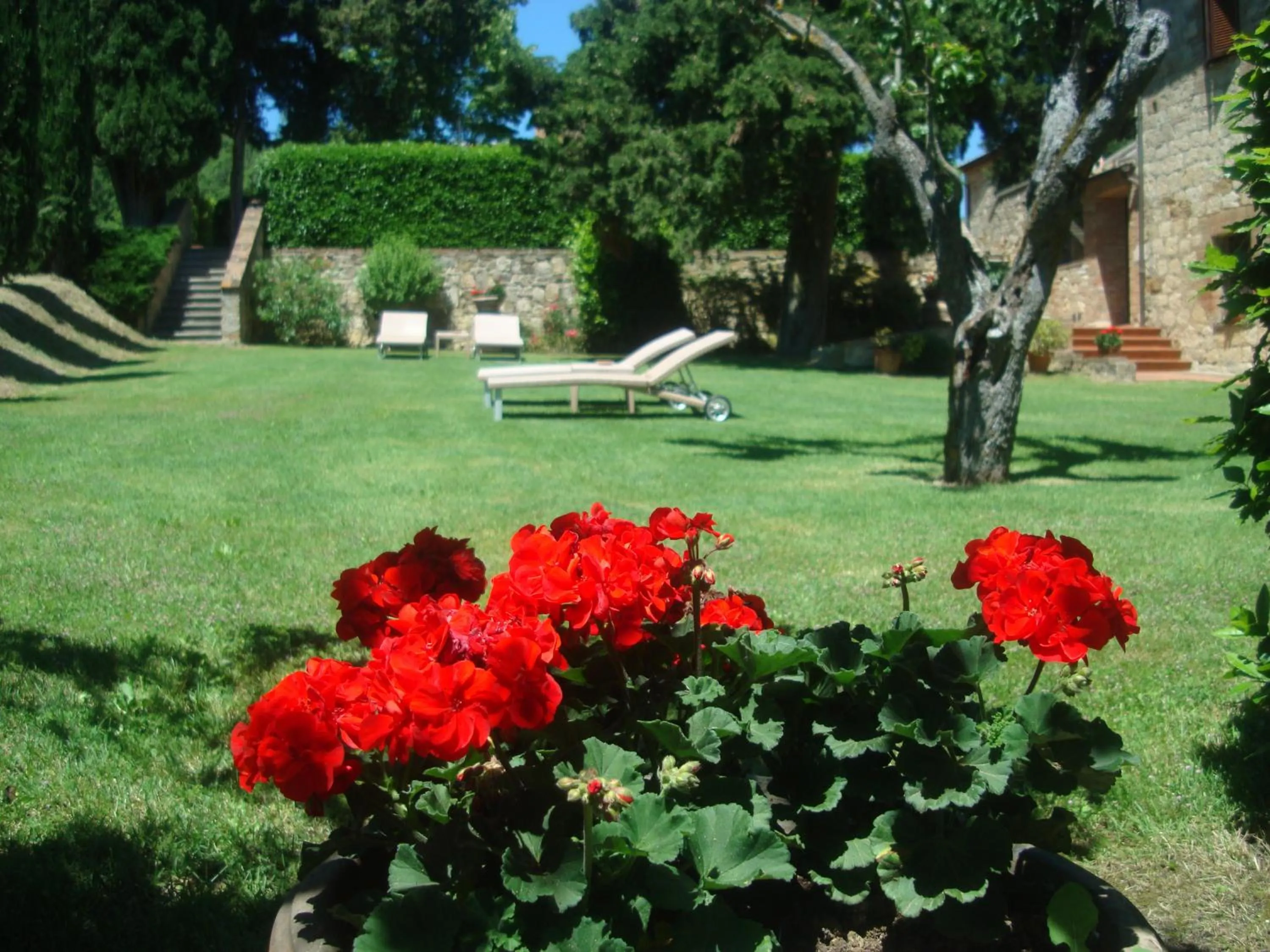 Garden in Sant'Antonio Country Resort