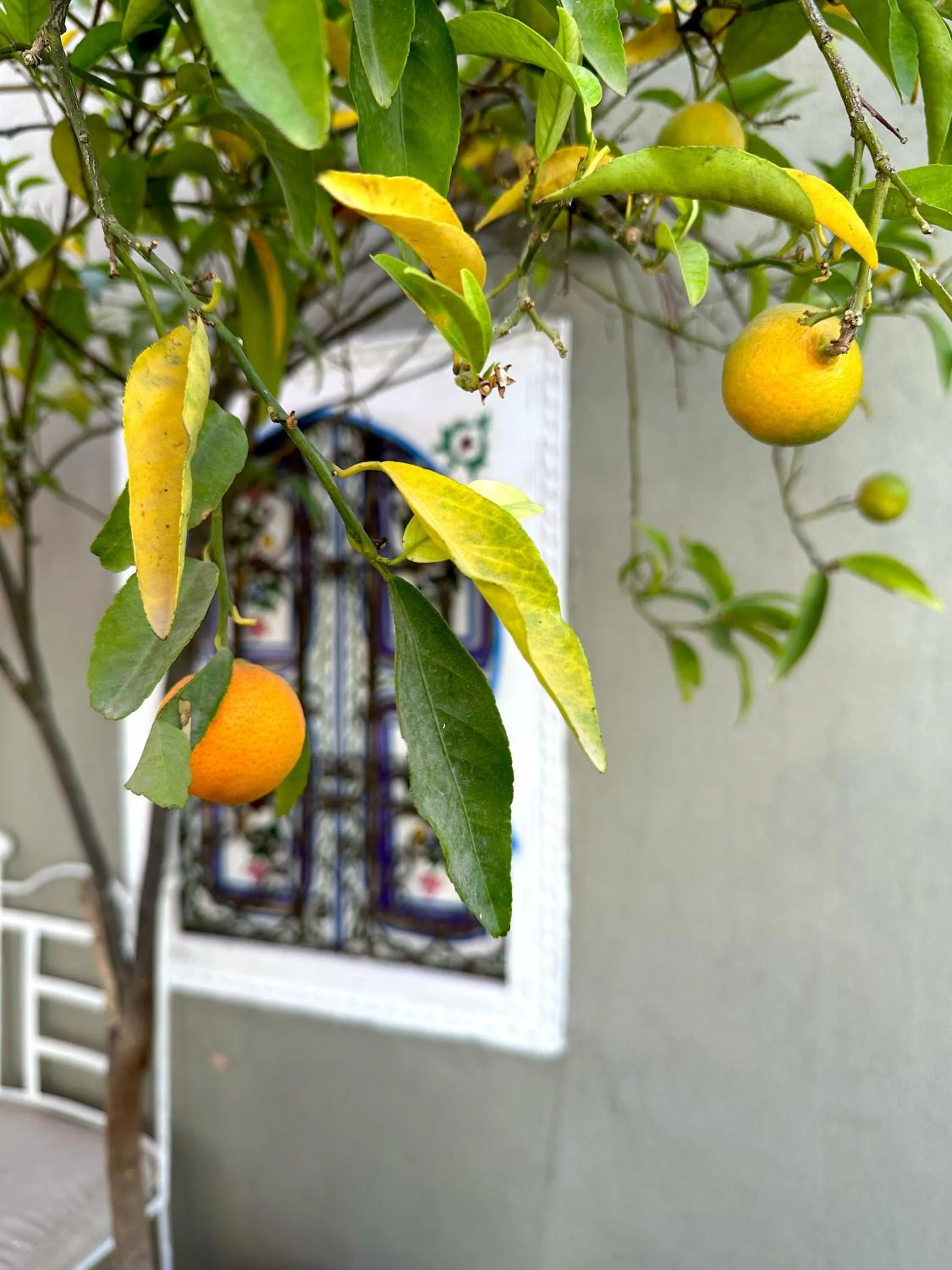 Riad Hna Ben Saleh - Traditional Guest House near Jemaa el-Fnaa Square