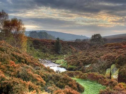 Other in Brickfields Farm