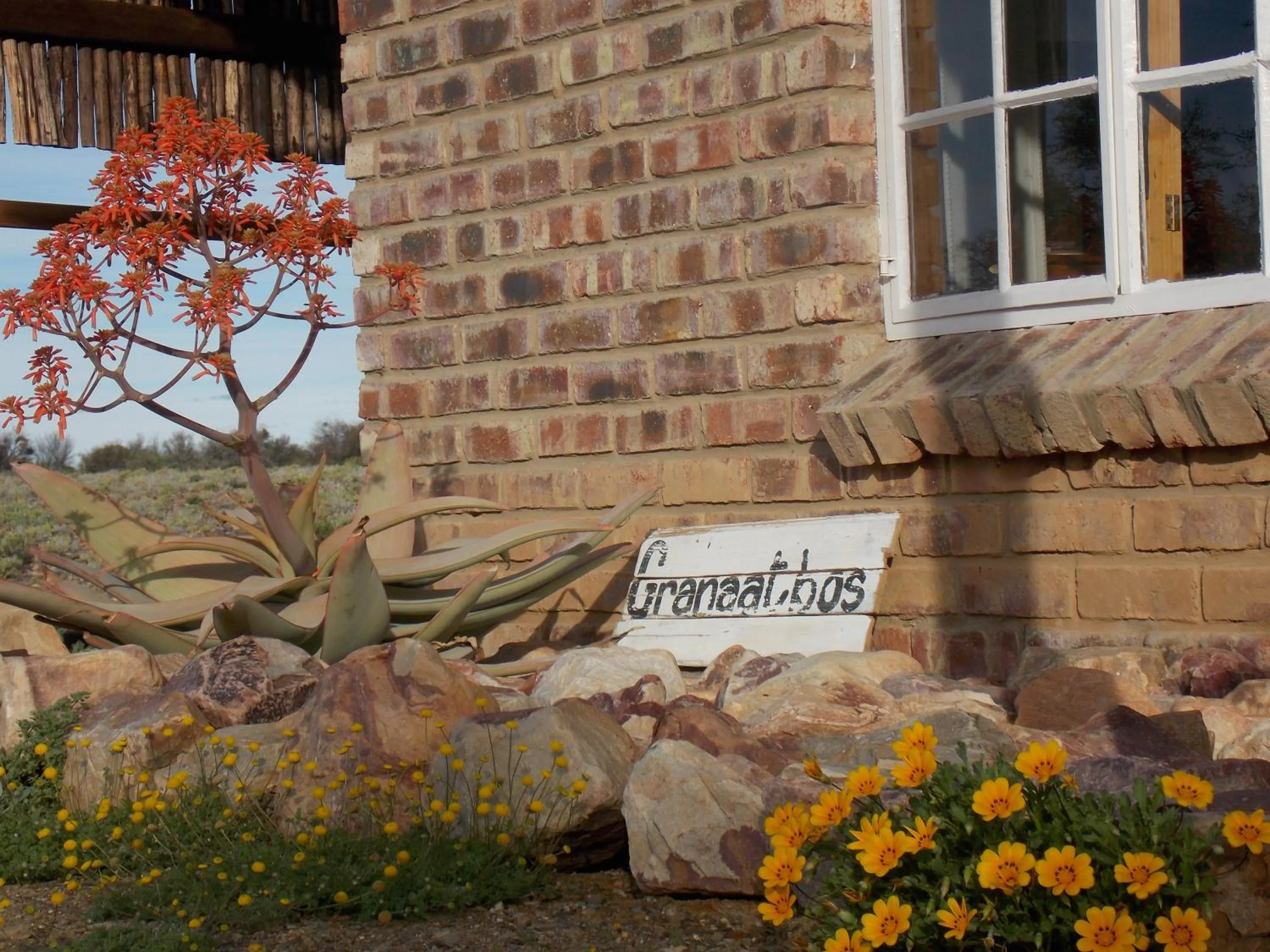 Spring in Wolvekraal Guest Farm