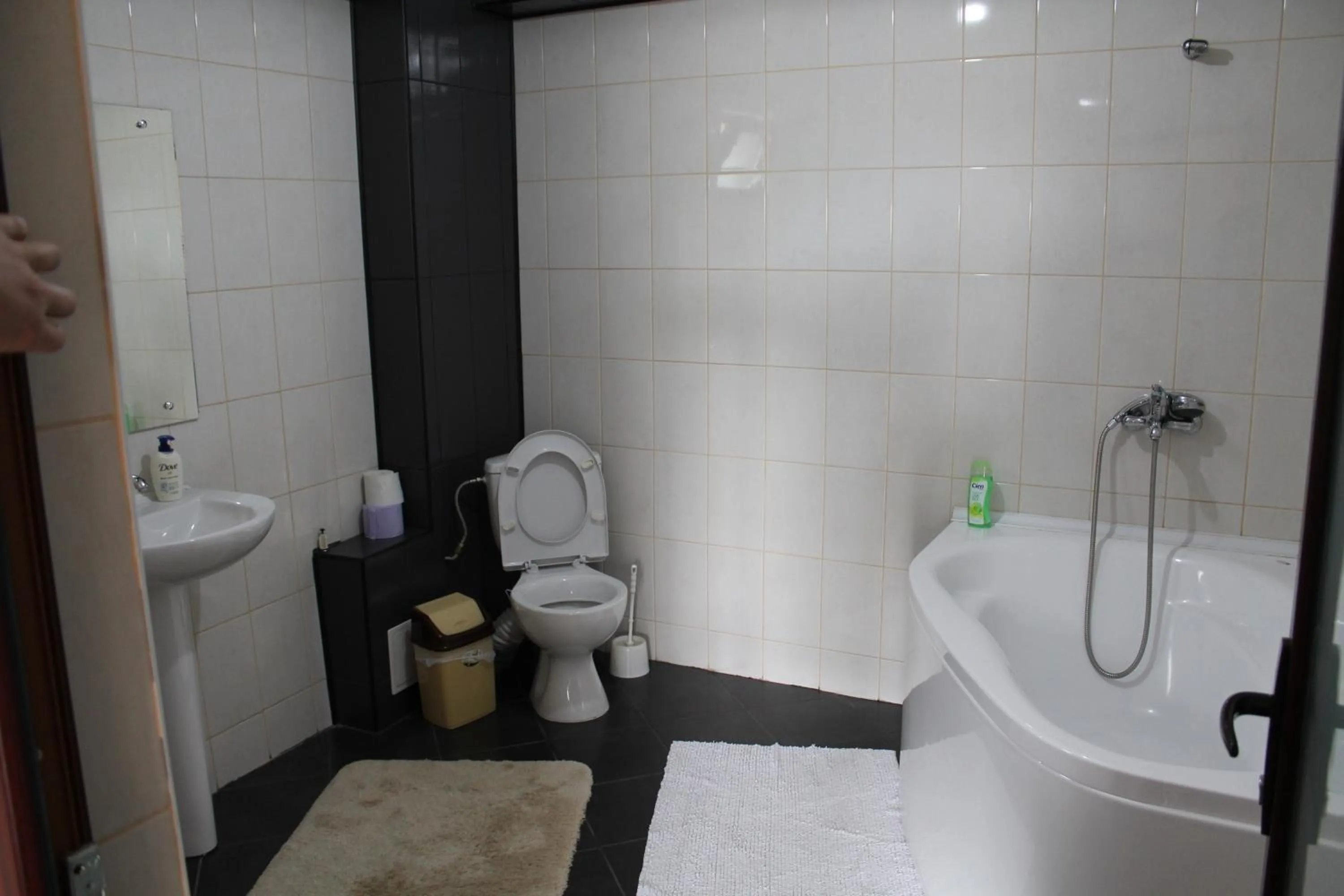 Bathroom in Pensiunea Giovani