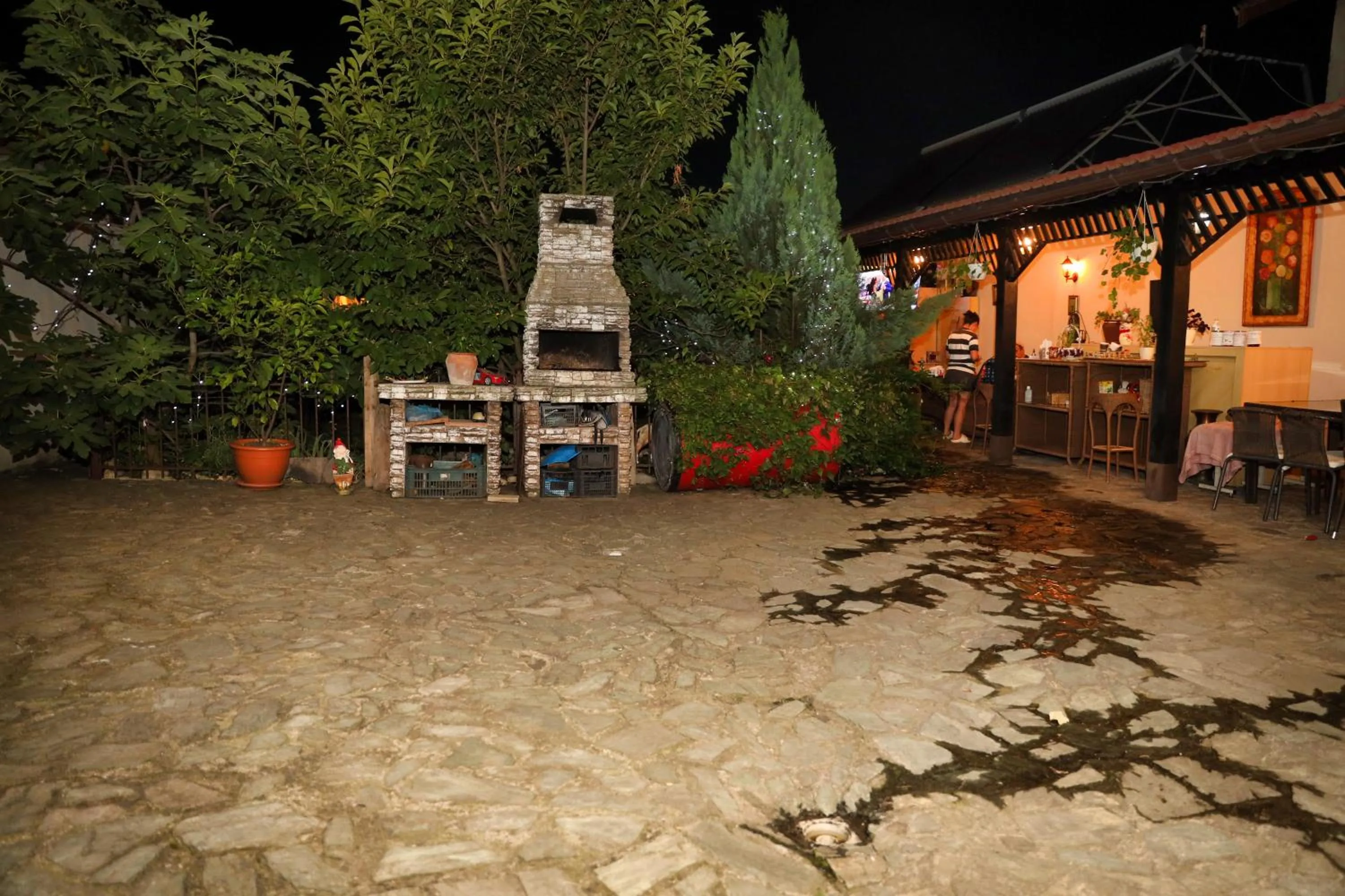 BBQ facilities in Pensiunea Giovani
