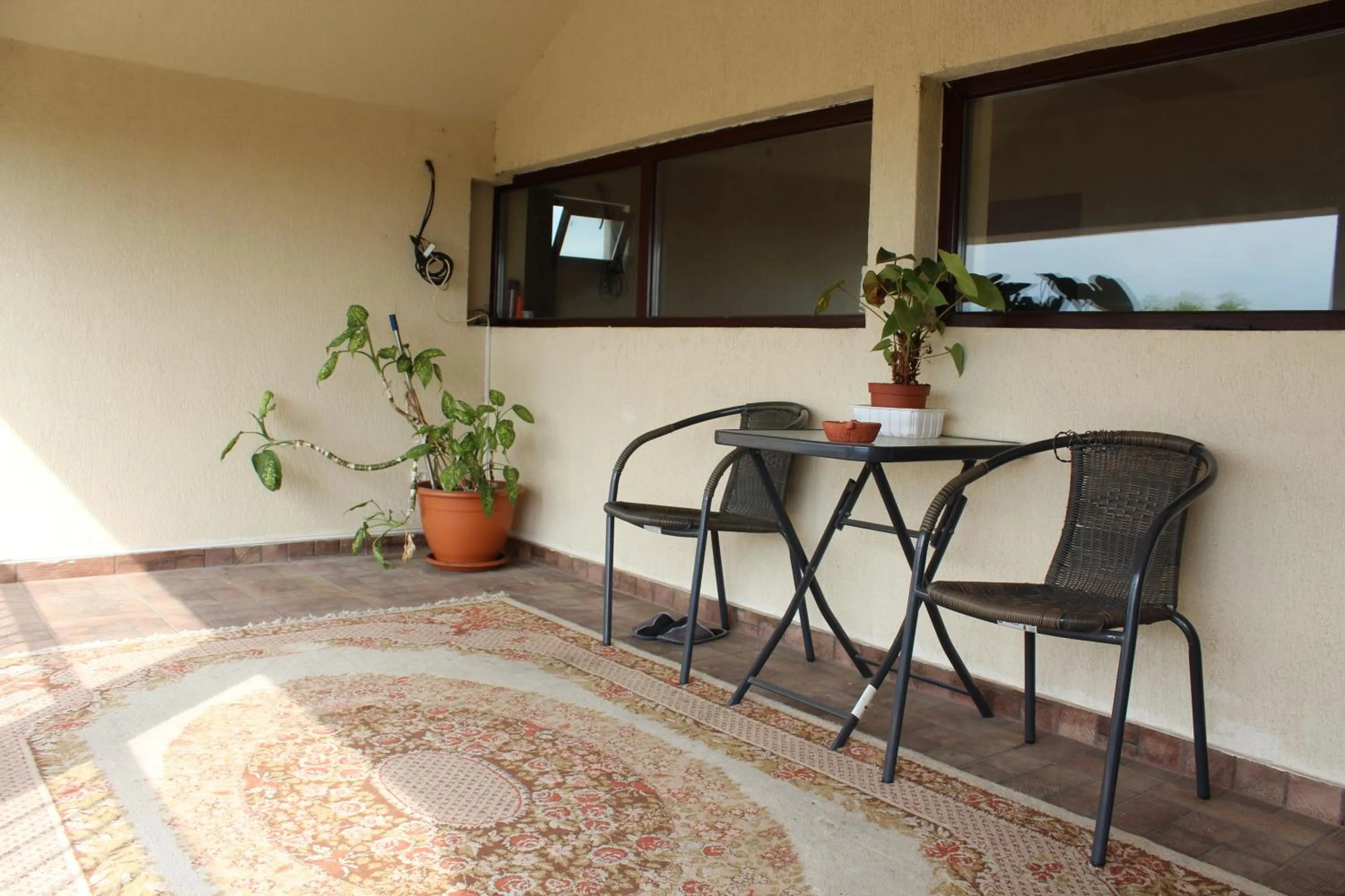 Balcony/Terrace in Pensiunea Giovani