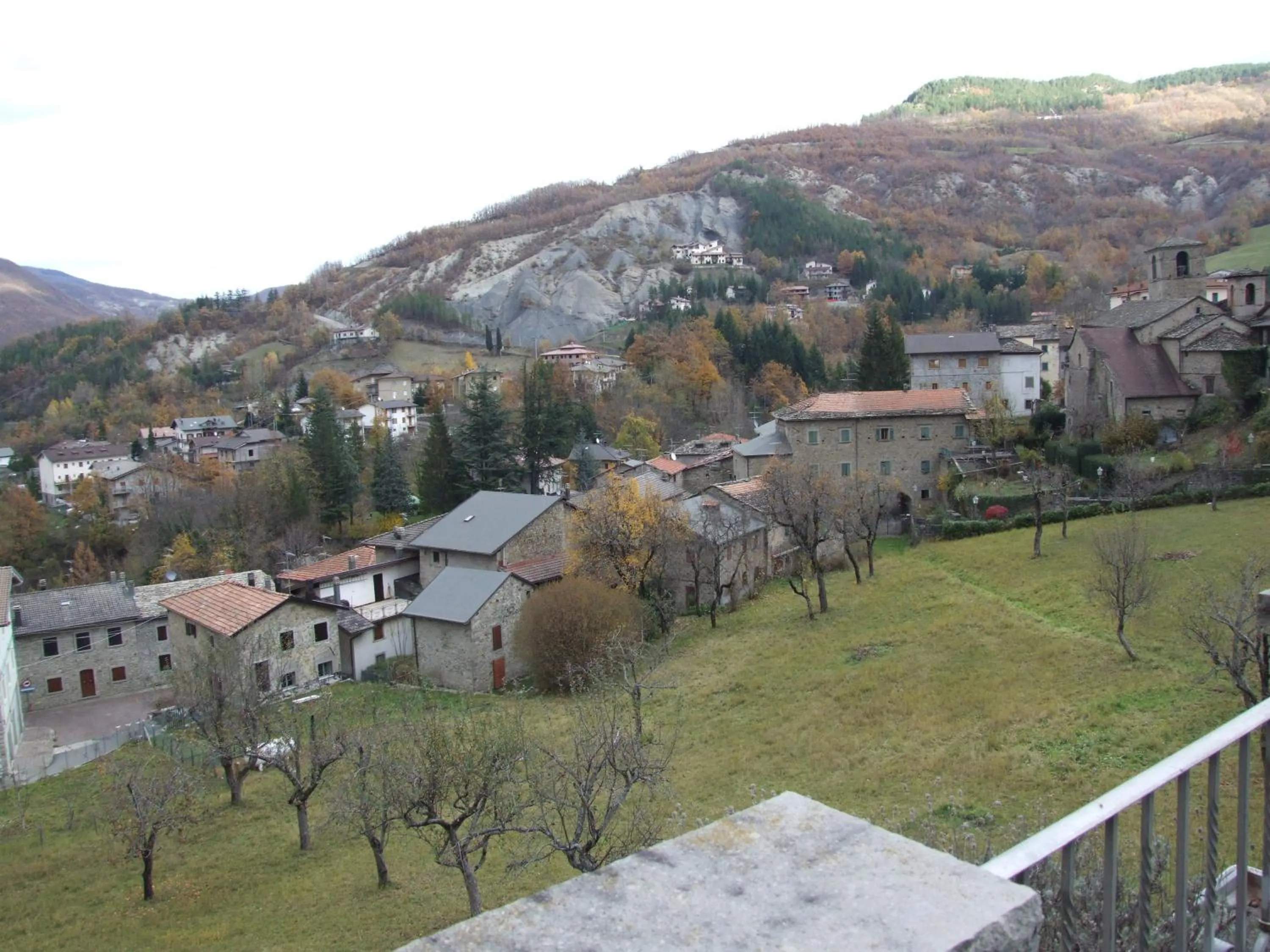 Area and facilities in Hotel Cimone