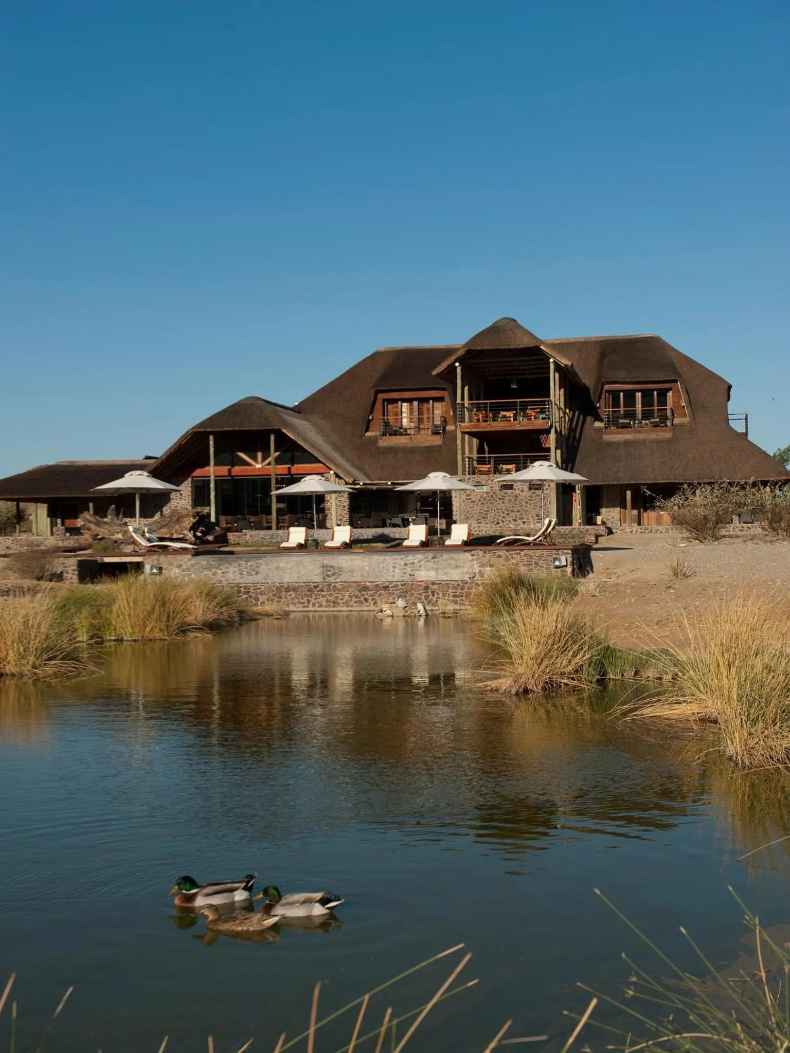 Animals in Tutwa Desert Lodge