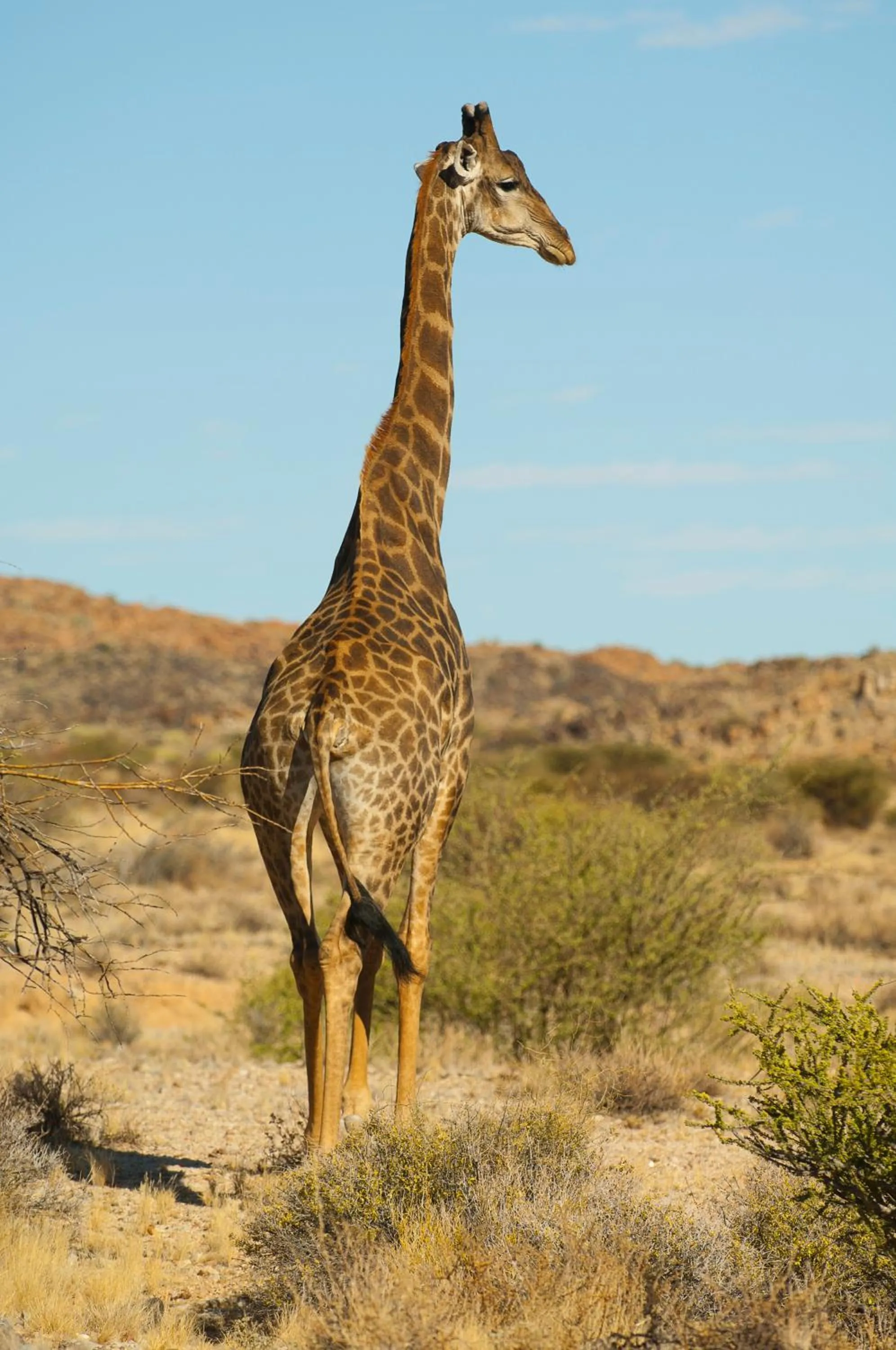 Natural landscape in Tutwa Desert Lodge