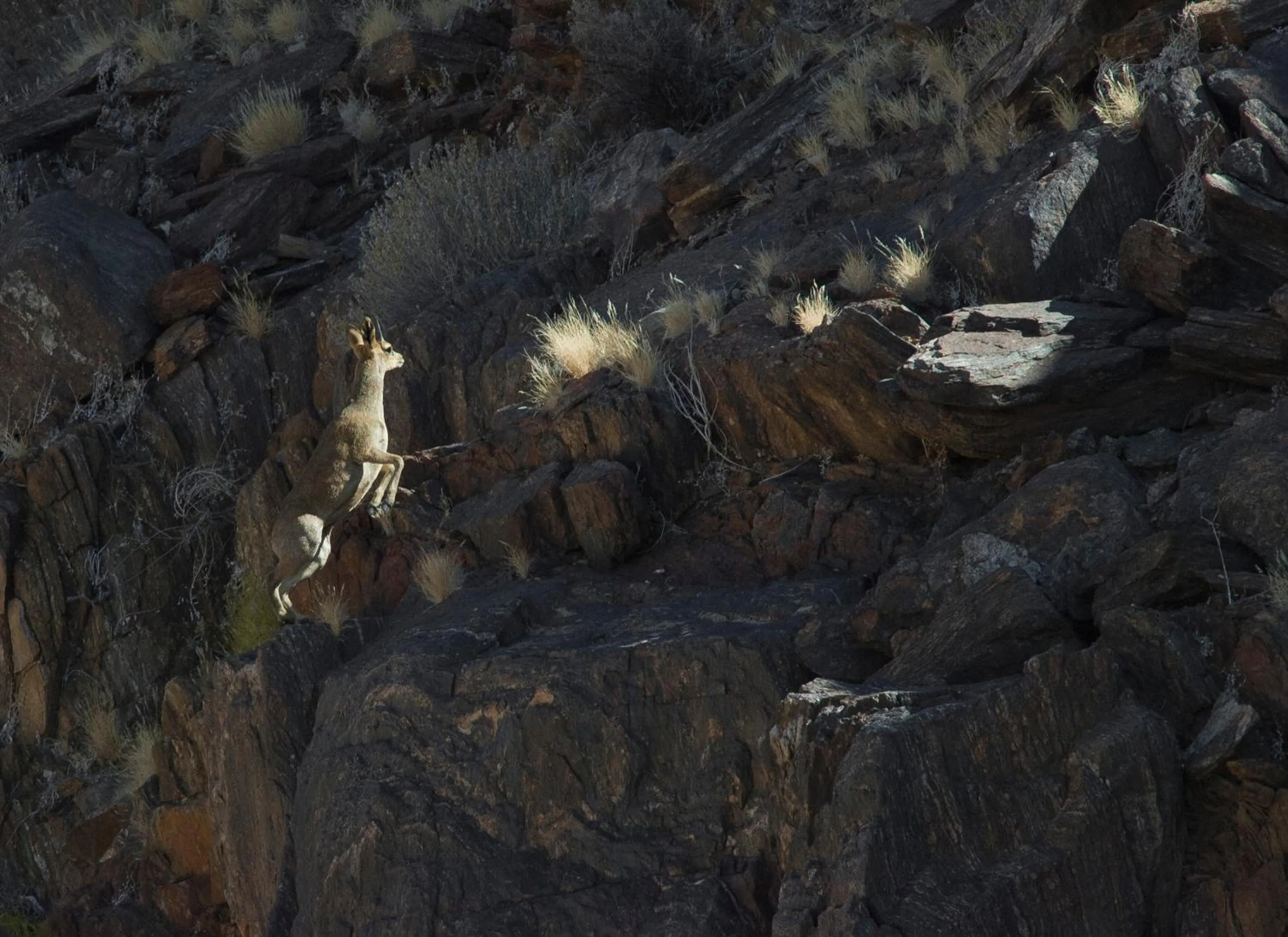 Activities in Tutwa Desert Lodge