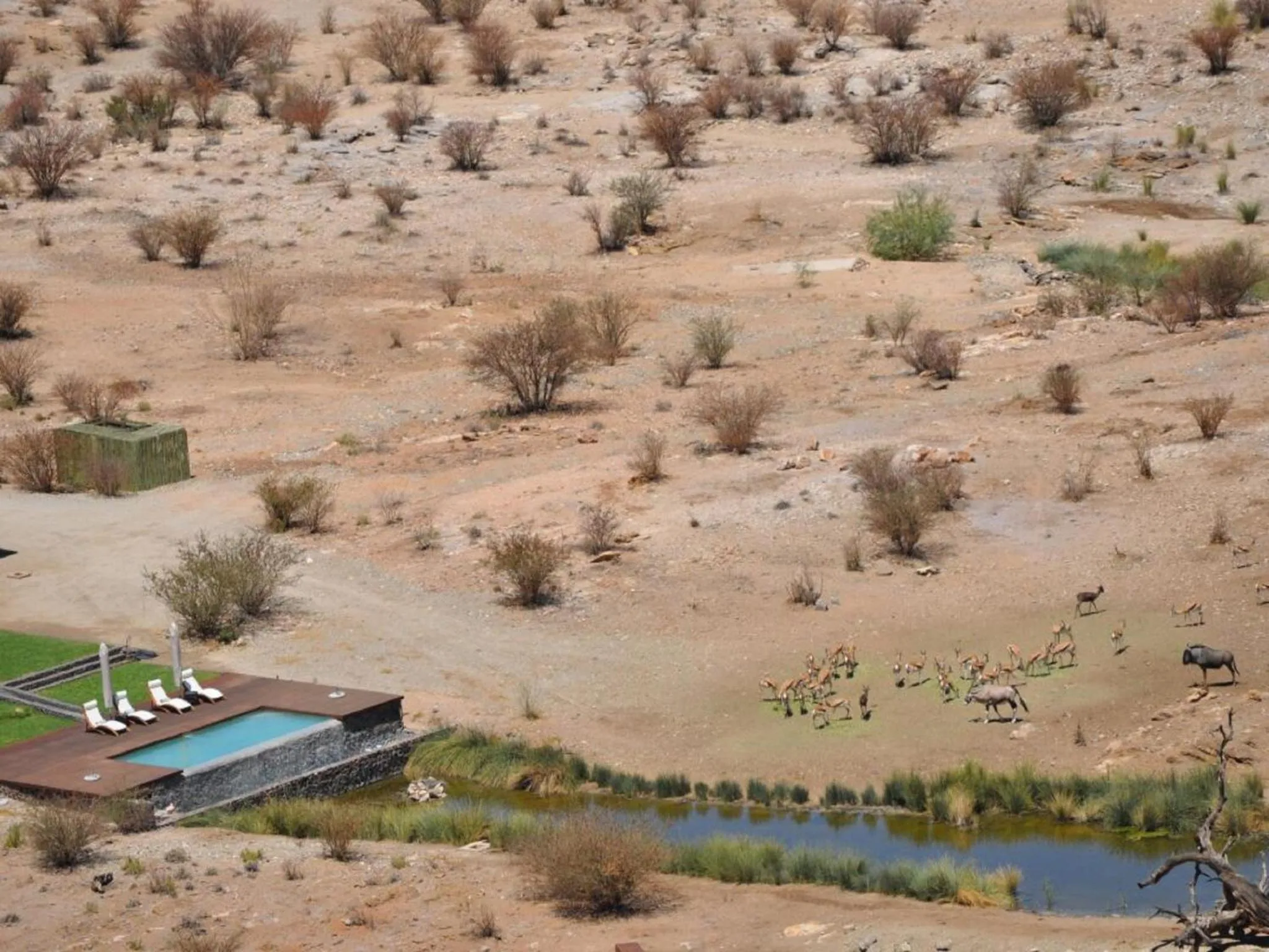 Animals in Tutwa Desert Lodge