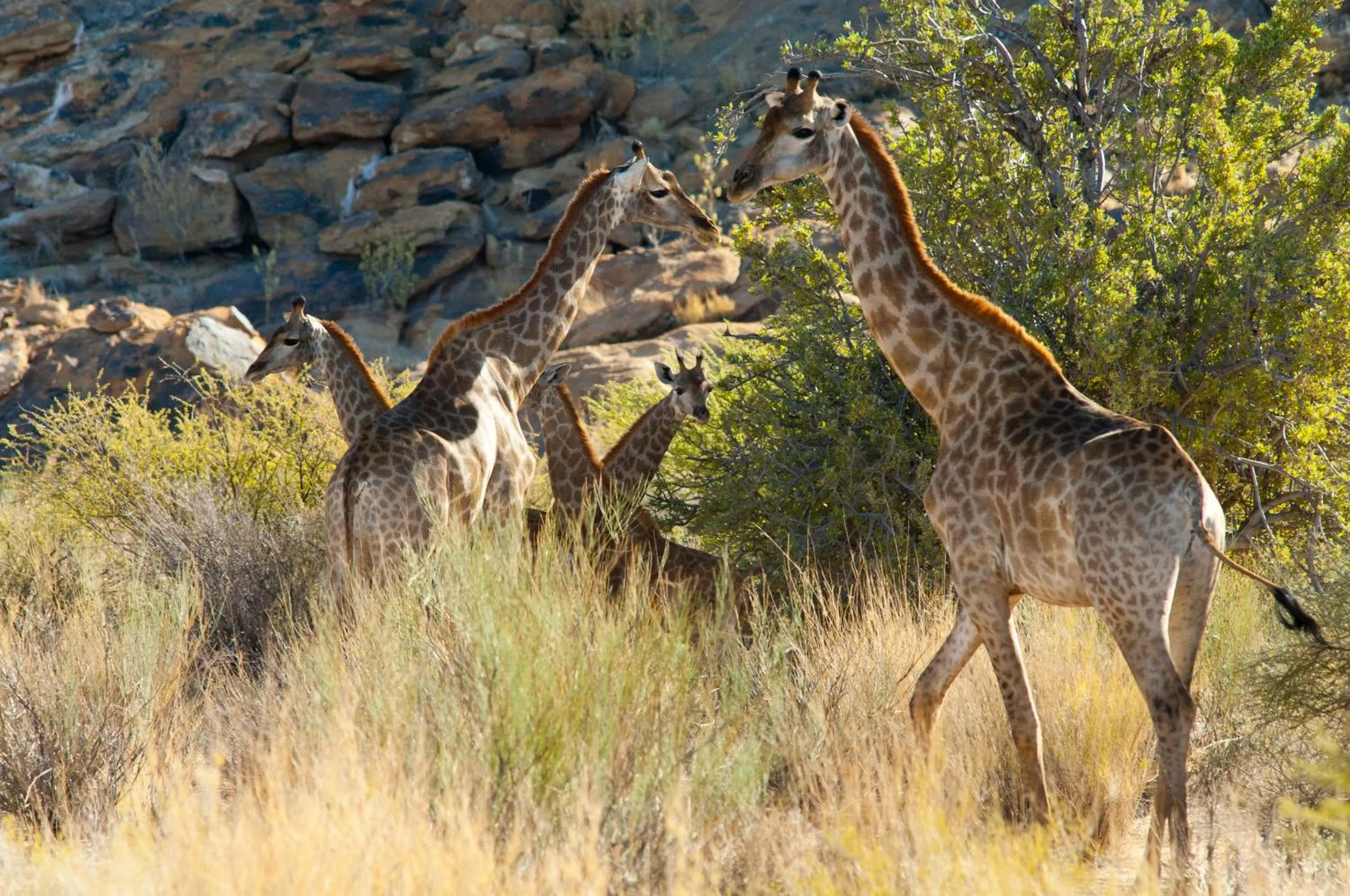 Natural landscape in Tutwa Desert Lodge