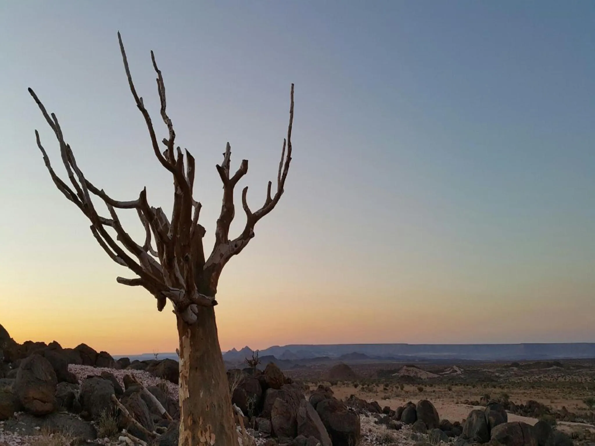 Natural landscape in Tutwa Desert Lodge