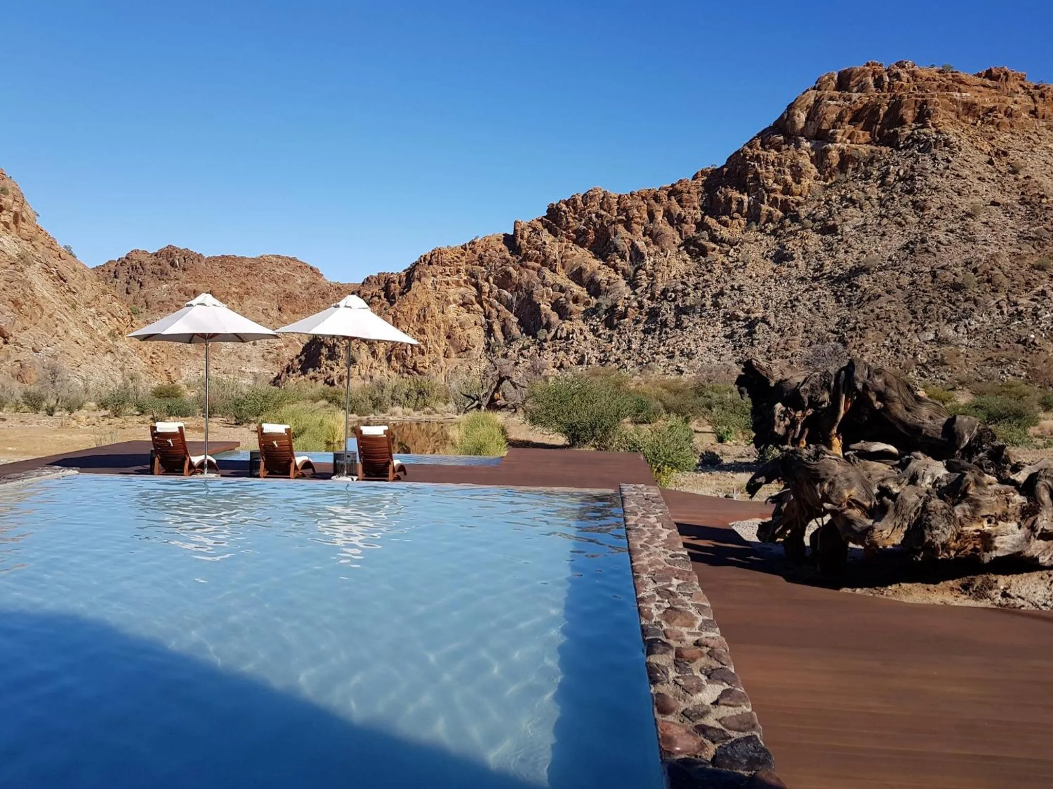 Spring in Tutwa Desert Lodge