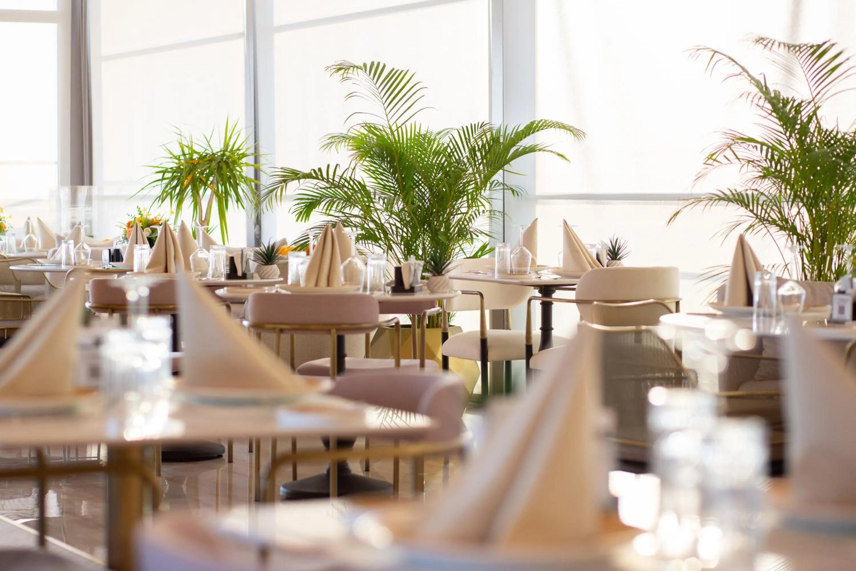 Restaurant/places to eat in La Terrazza Hotel