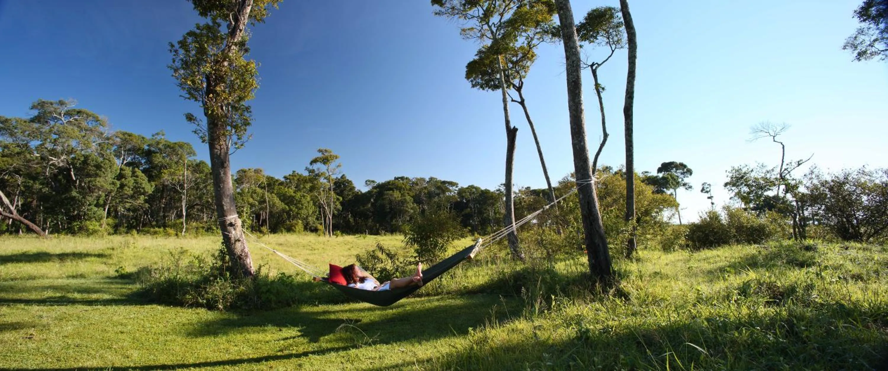 Natural landscape in Elephant Pepper Camp