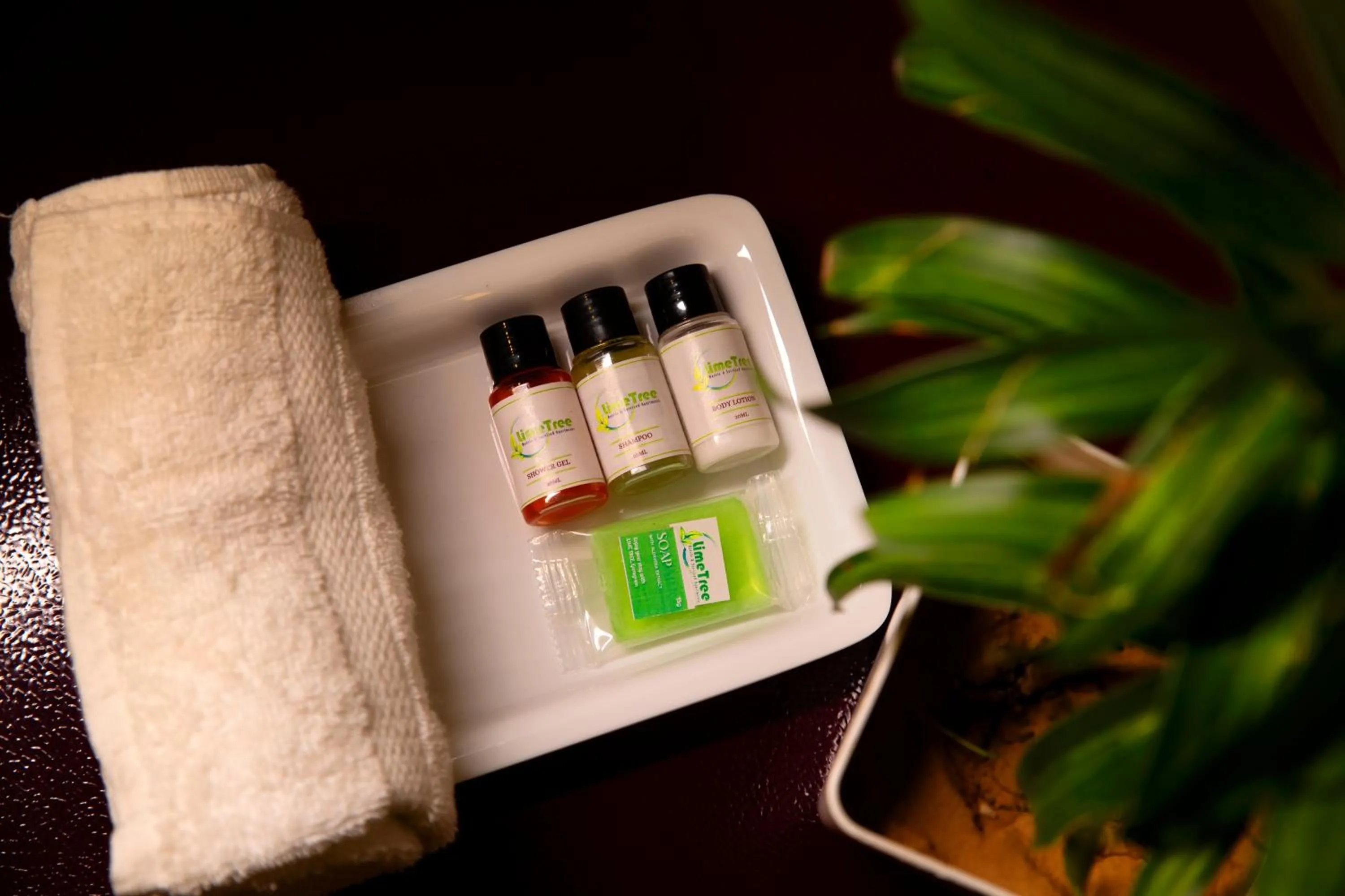 Bathroom in Lime Tree Luxury Studio - Service Apartment Near Artemis Hospital ,Gurgaon