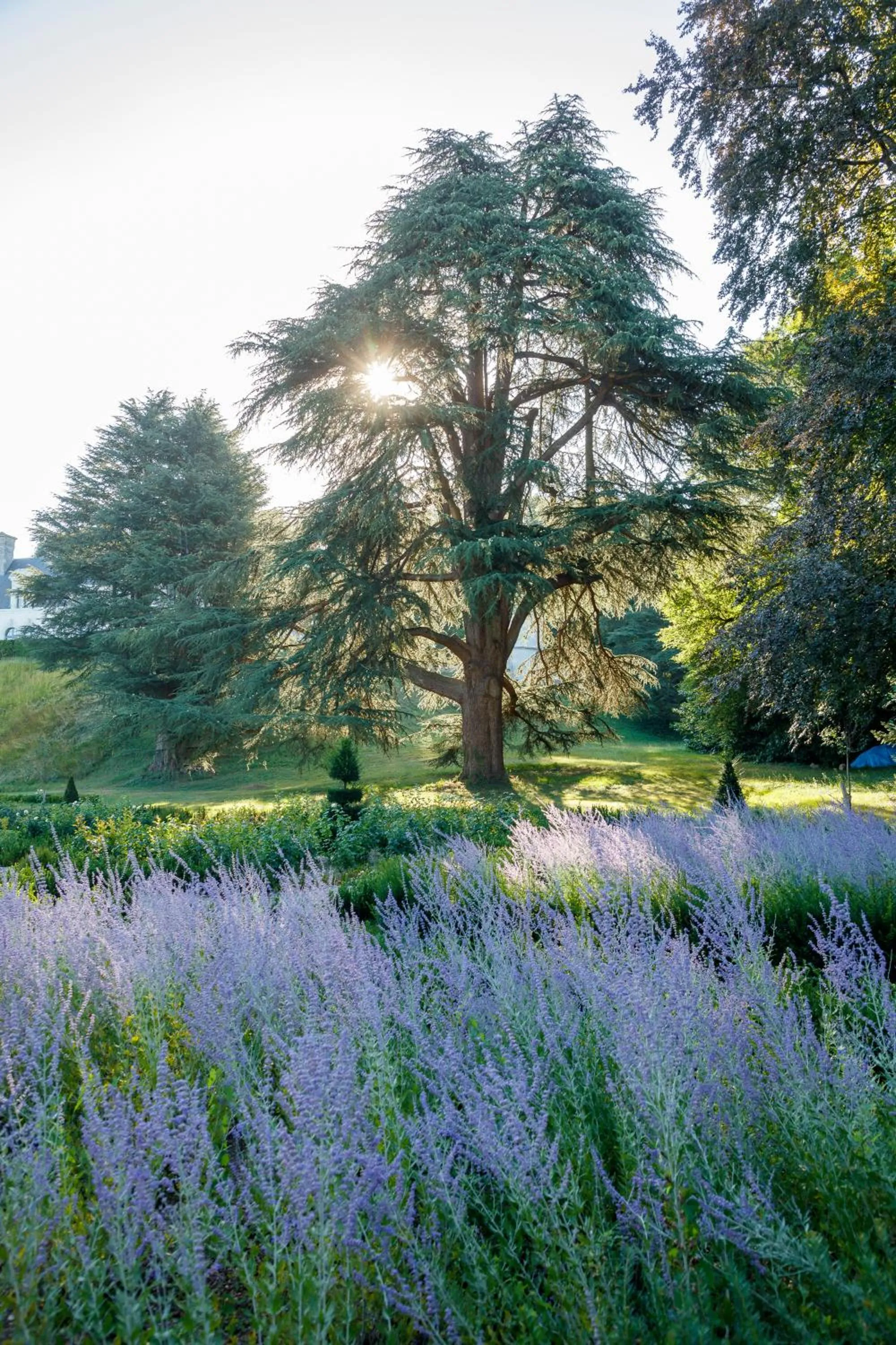 Garden in Relais & Château Louise de La Vallière