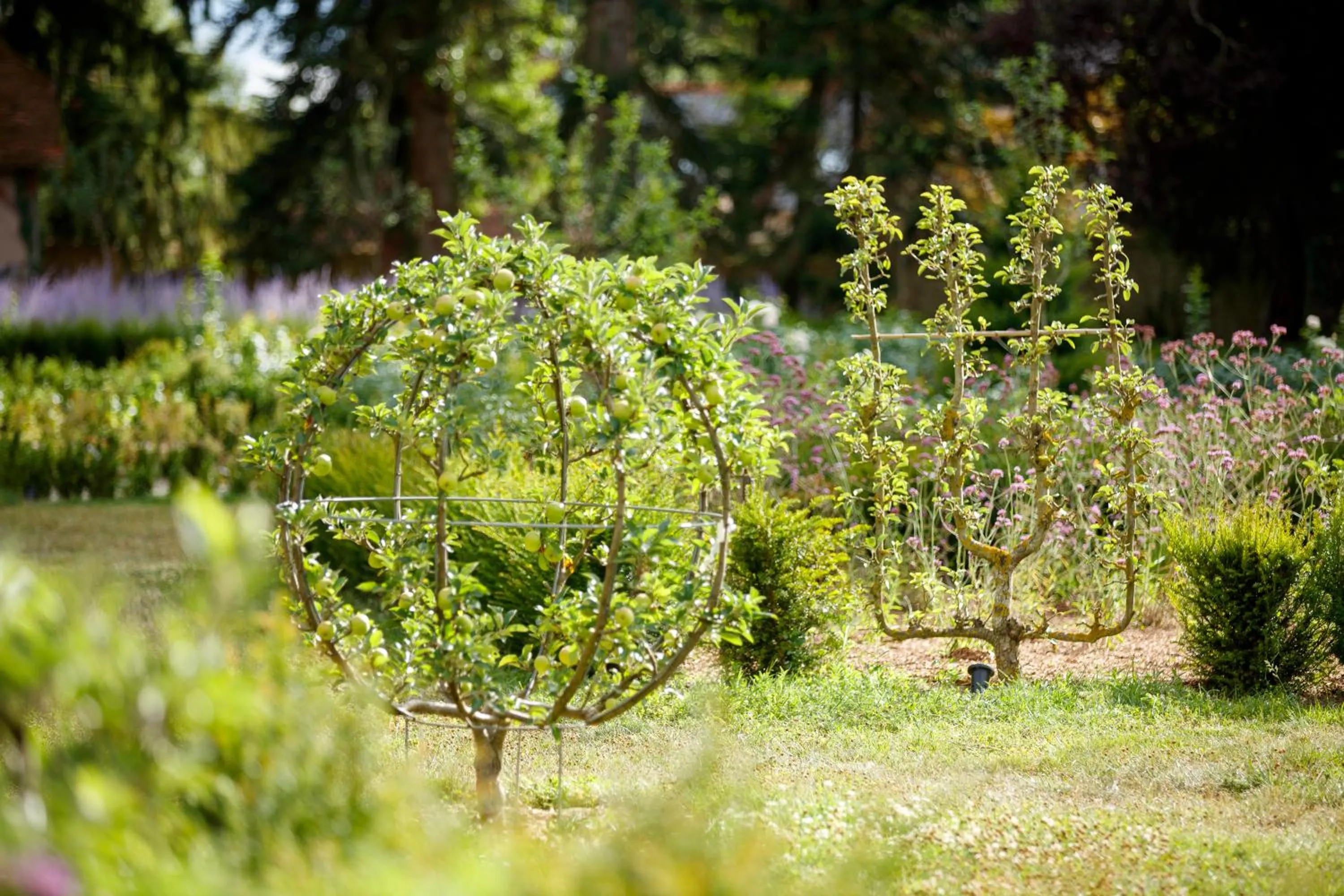Garden in Relais & Château Louise de La Vallière