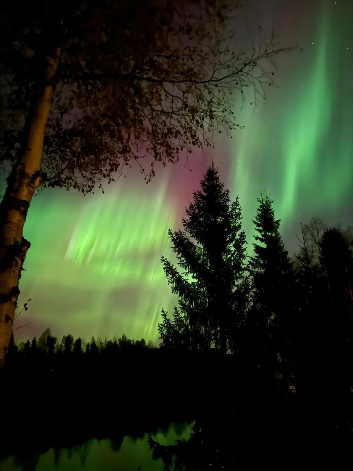 Lomavekarit Apartments