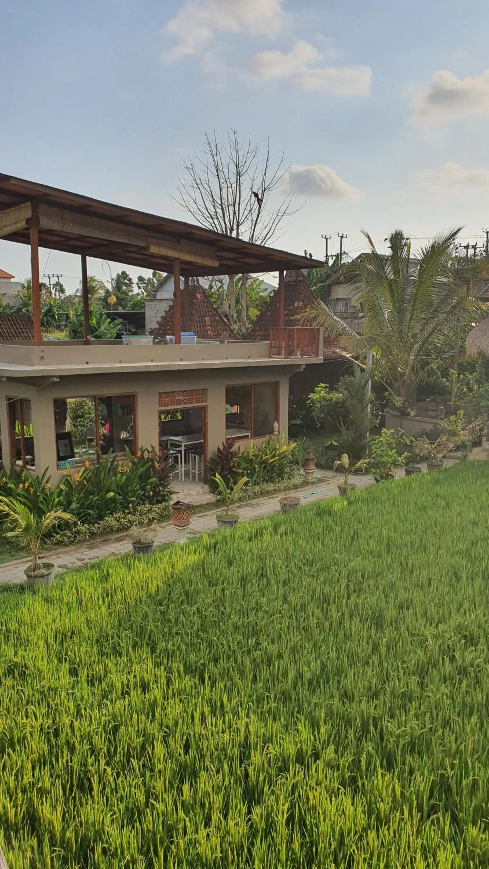 Property building in Ubud Rice Field House