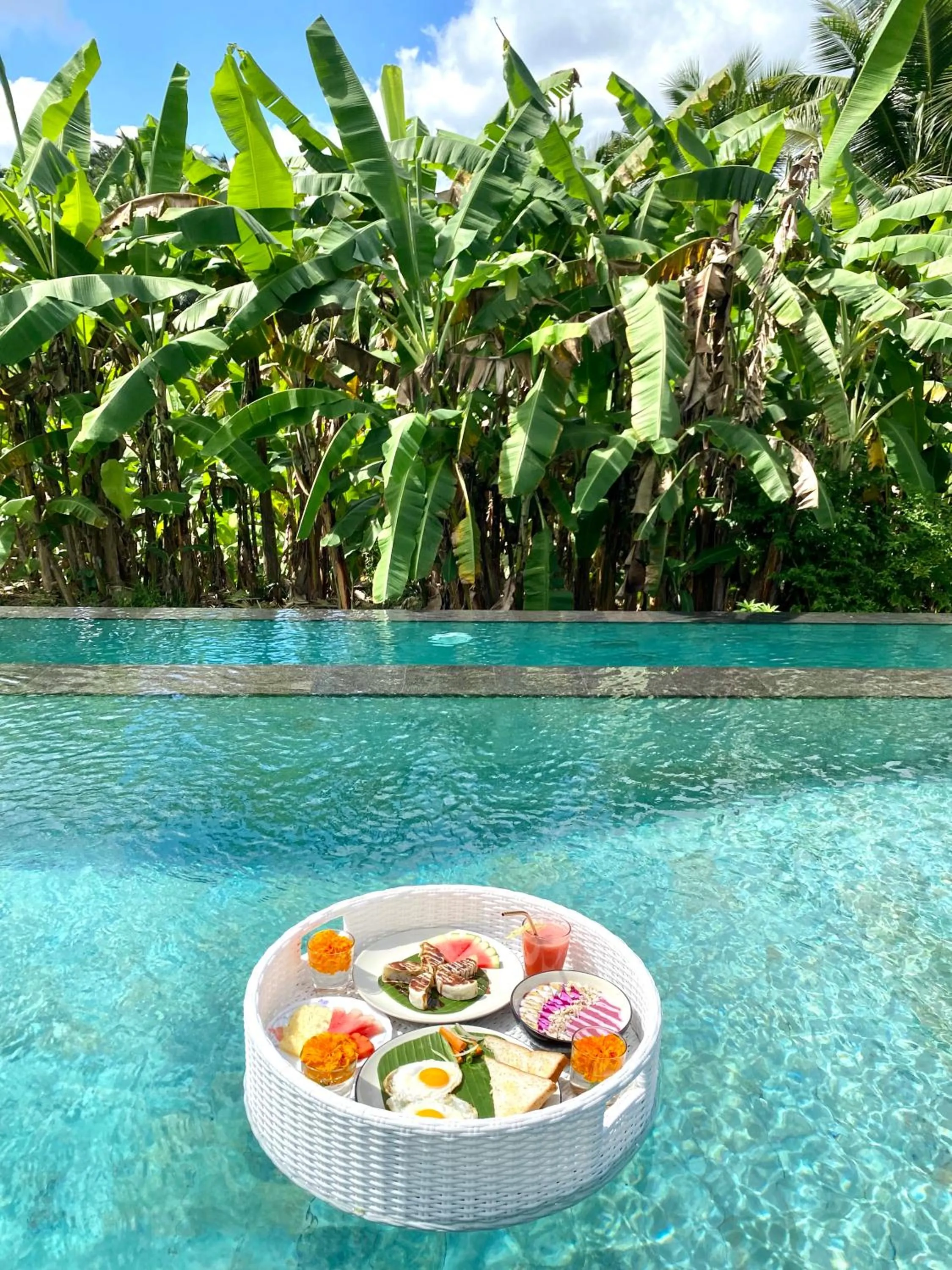 Day in Ubud Rice Field House