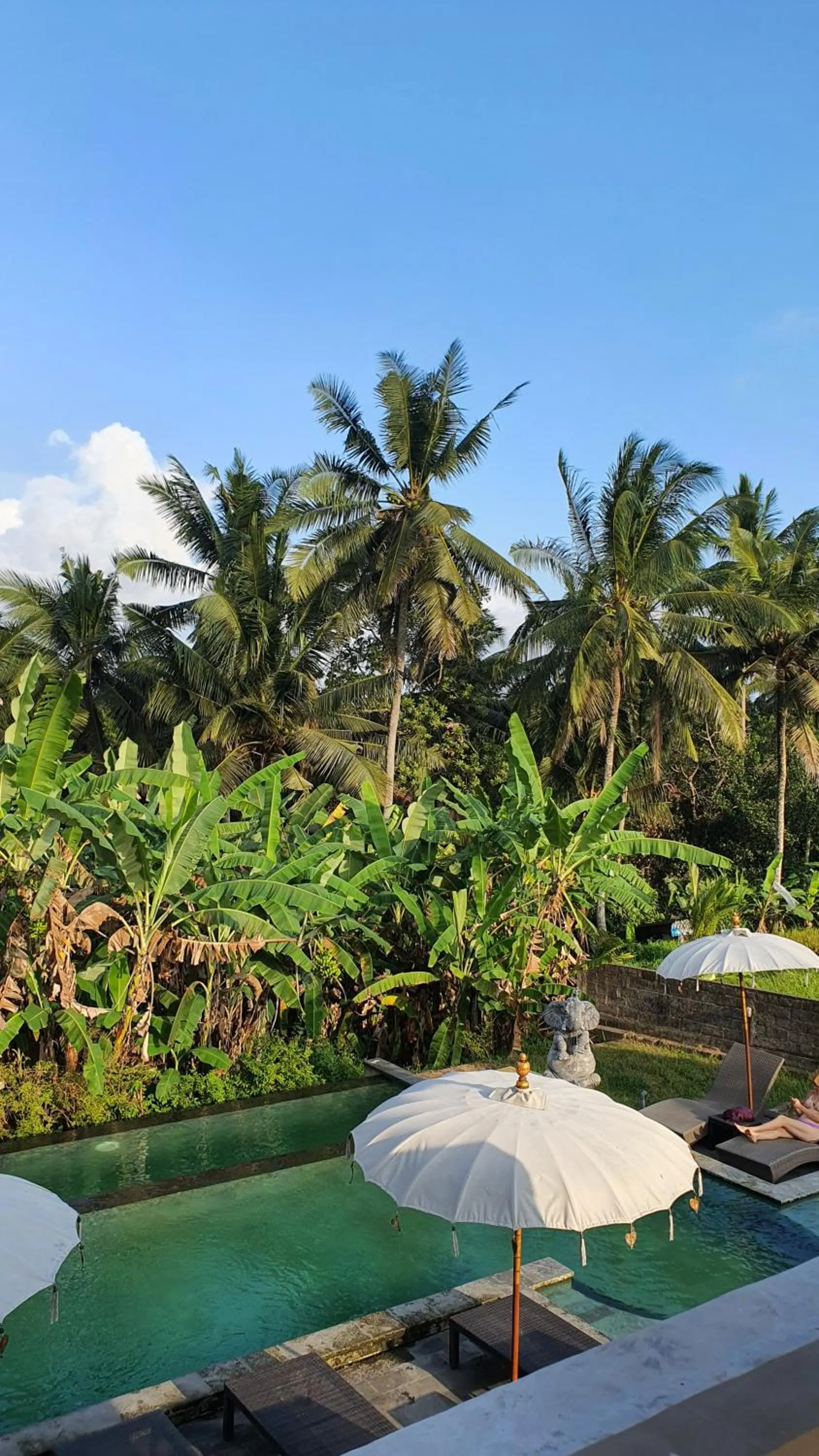 Property building in Ubud Rice Field House