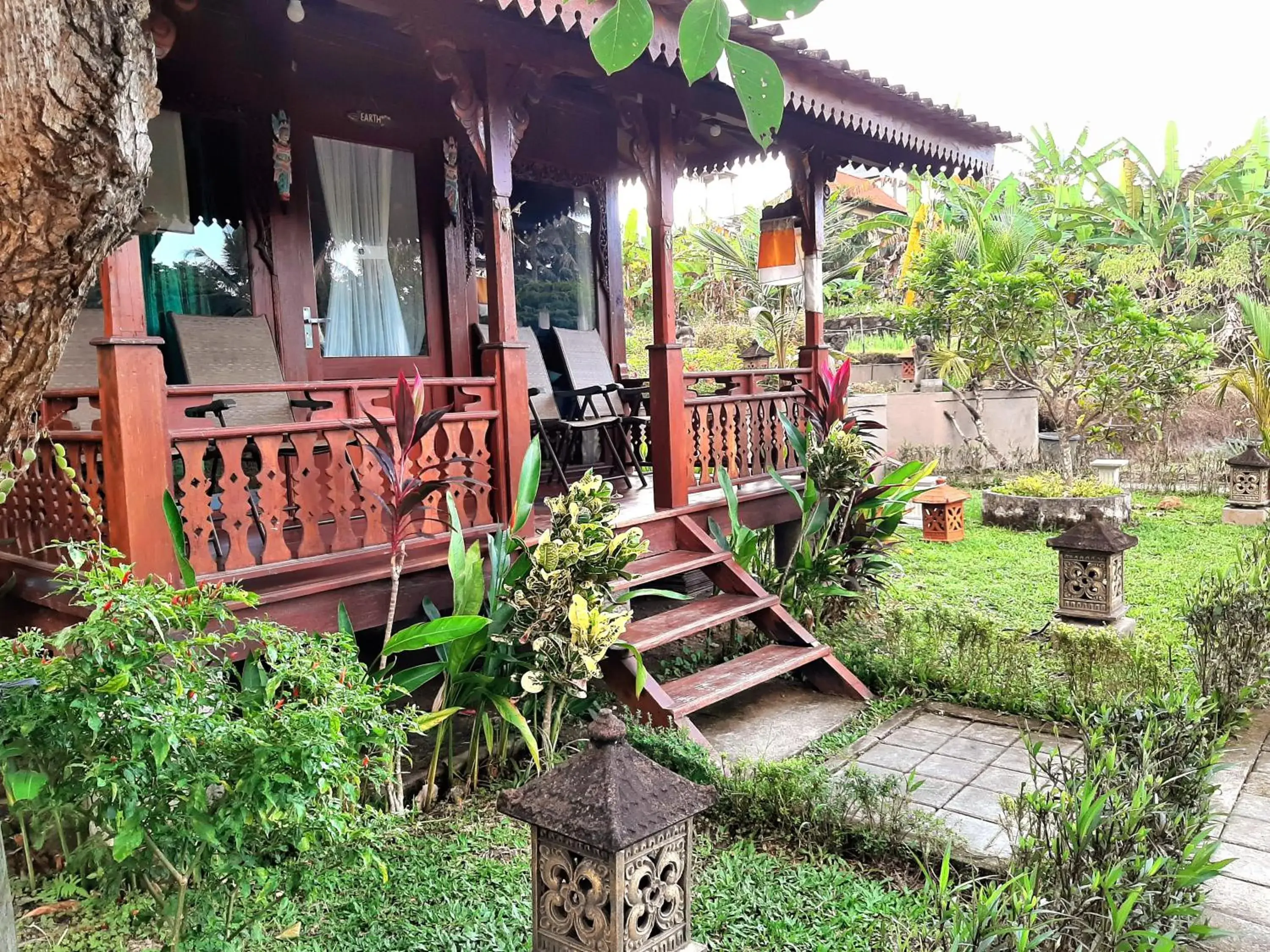 Bed in 6-Bed Female Dormitory Room in Ubud Rice Field House Bed in 6-Bed Female Dormitory Room in Ubud Rice Field House