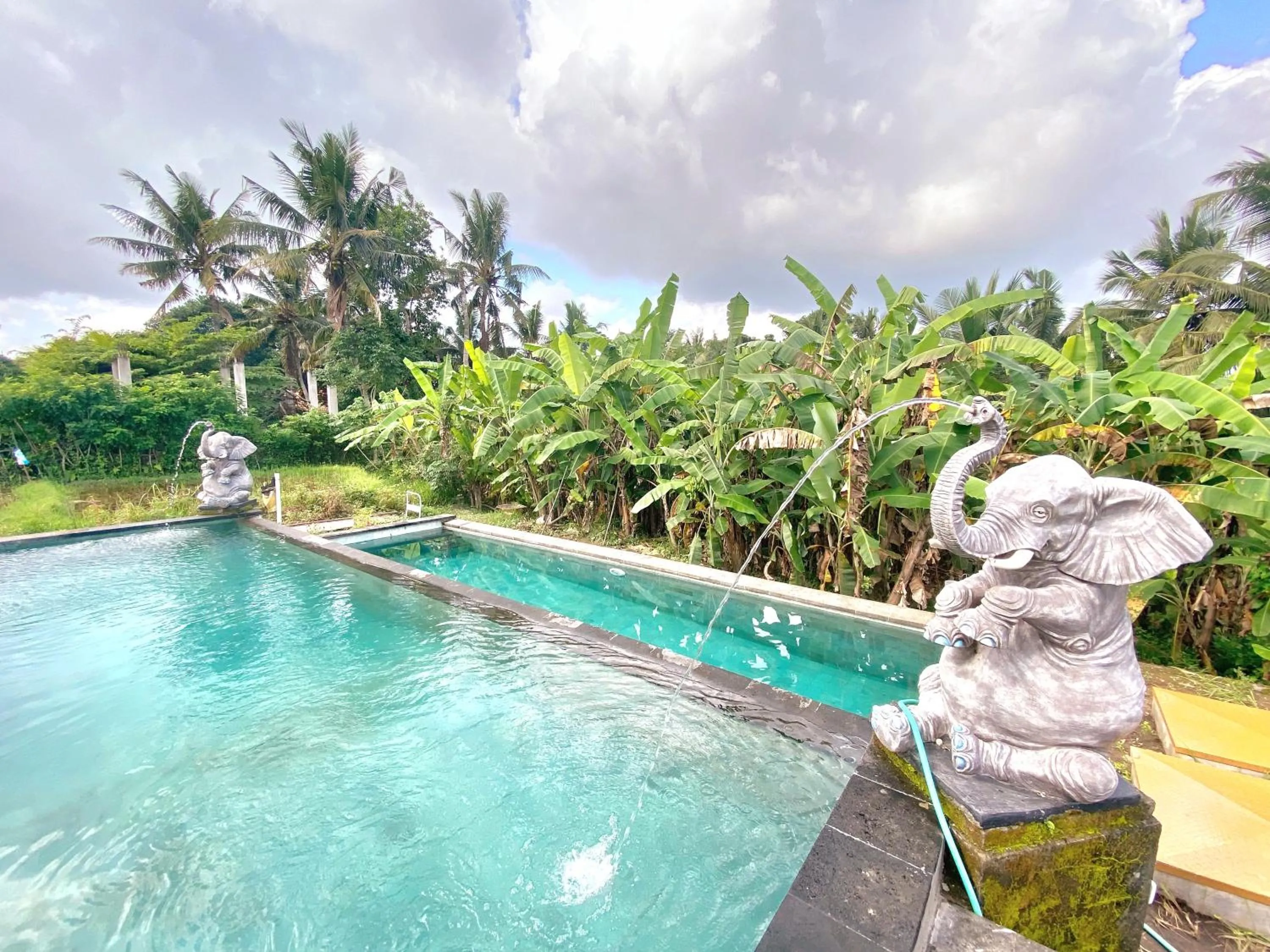 Swimming pool in Ubud Rice Field House
