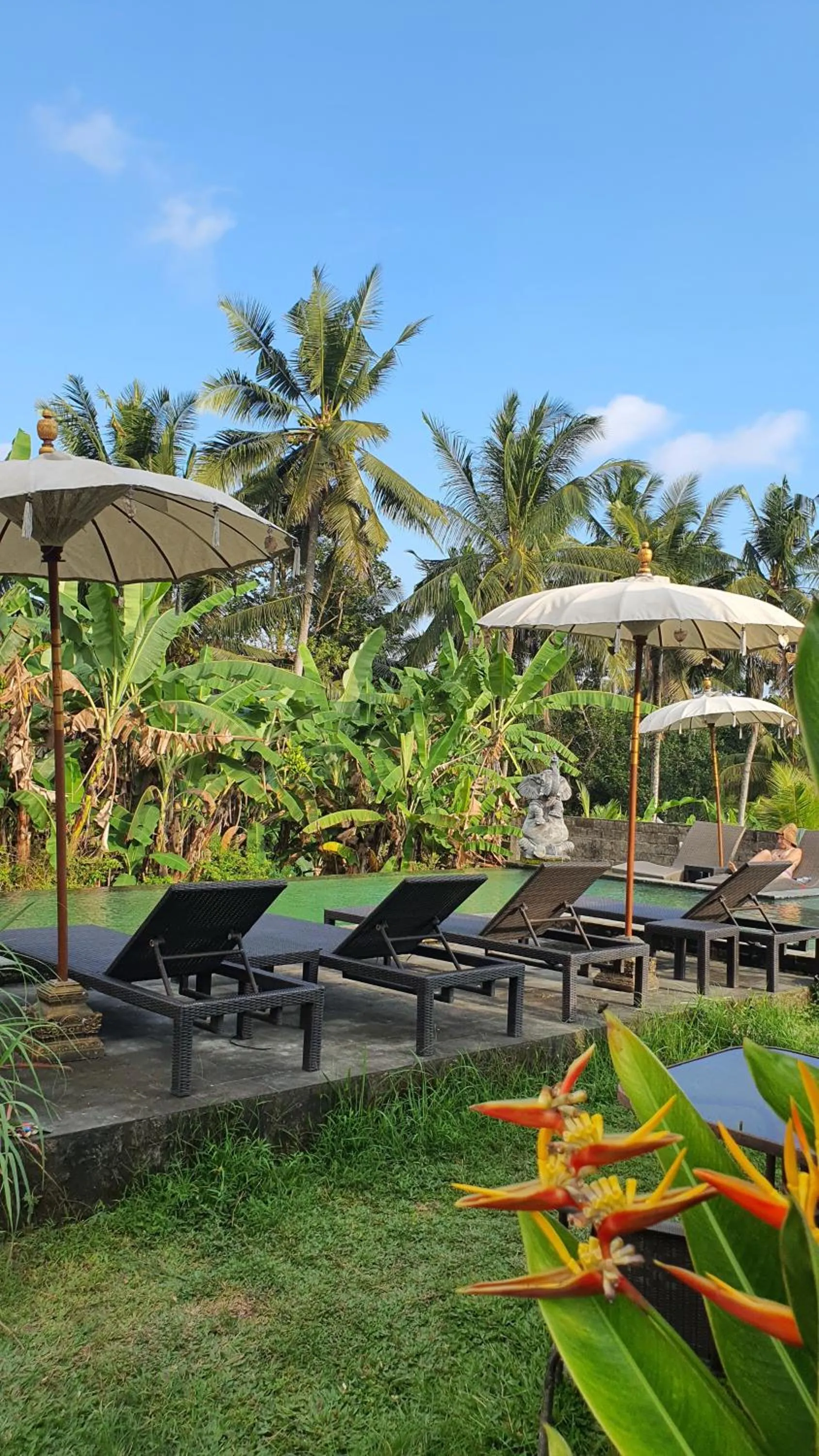 Property building in Ubud Rice Field House