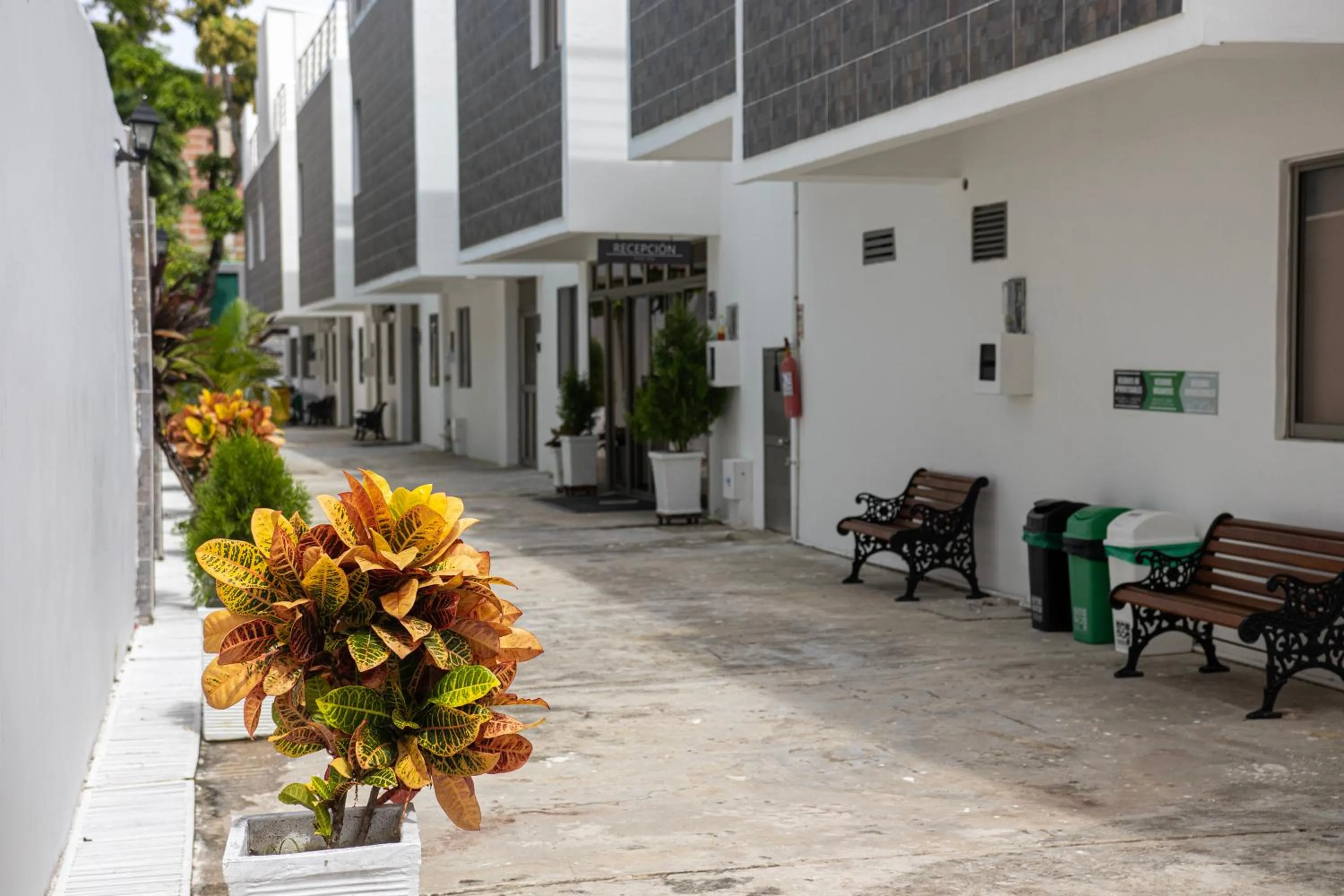 Day in Hotel El Marqués De Manga