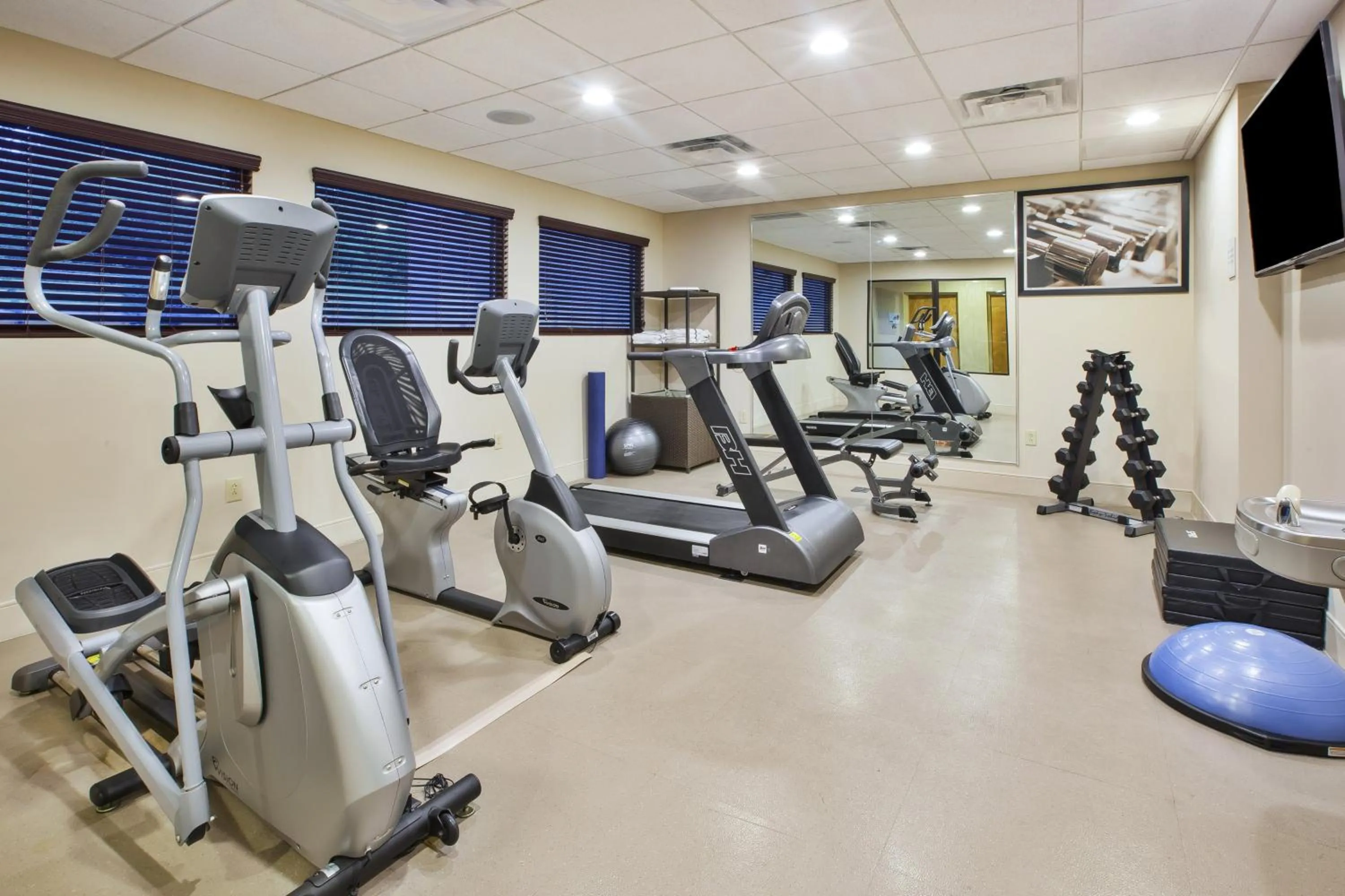 Fitness centre/facilities in Holiday Inn Express & Suites Geneva Finger Lakes by IHG