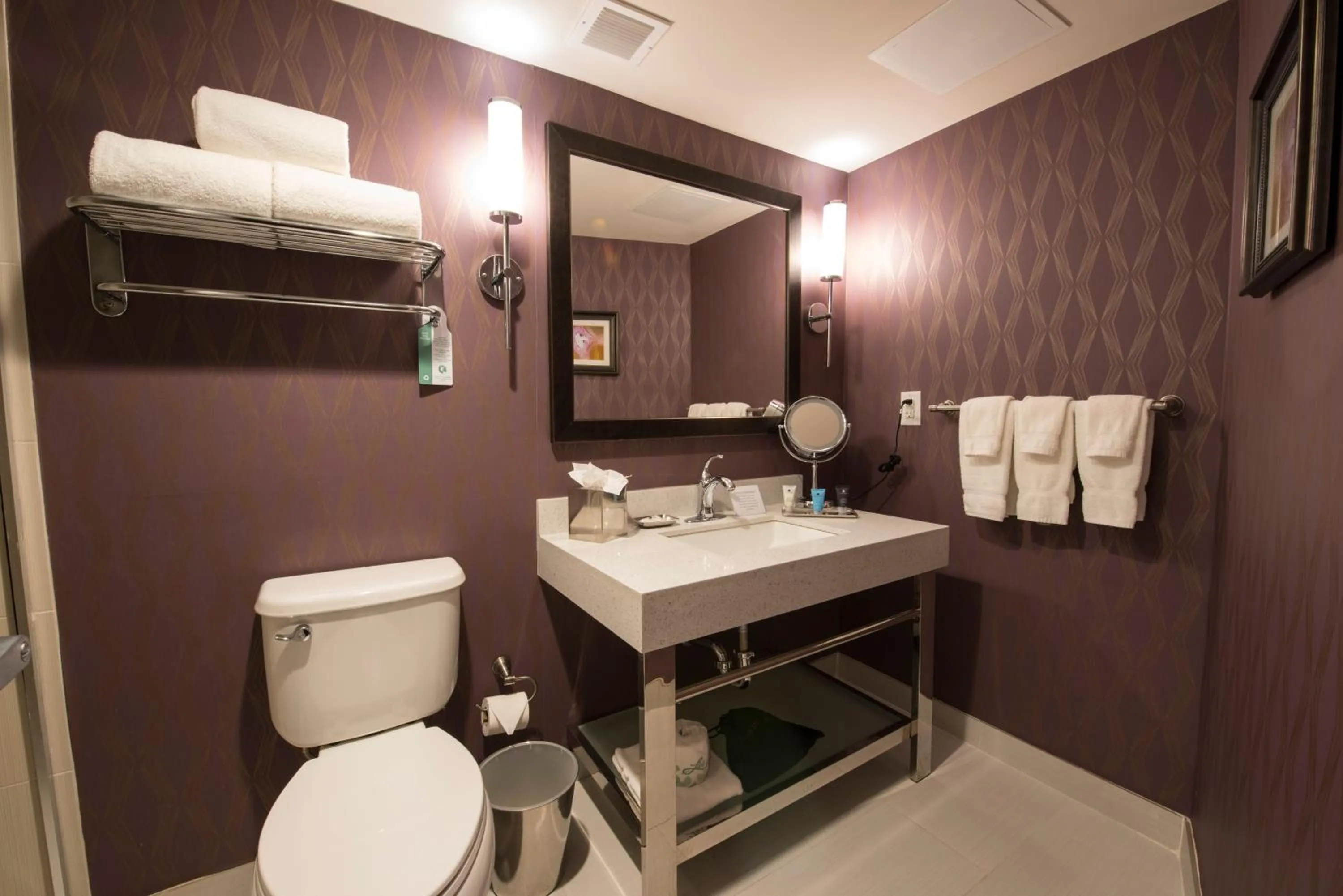 Bathroom in Crowne Plaza Saddle Brook by IHG