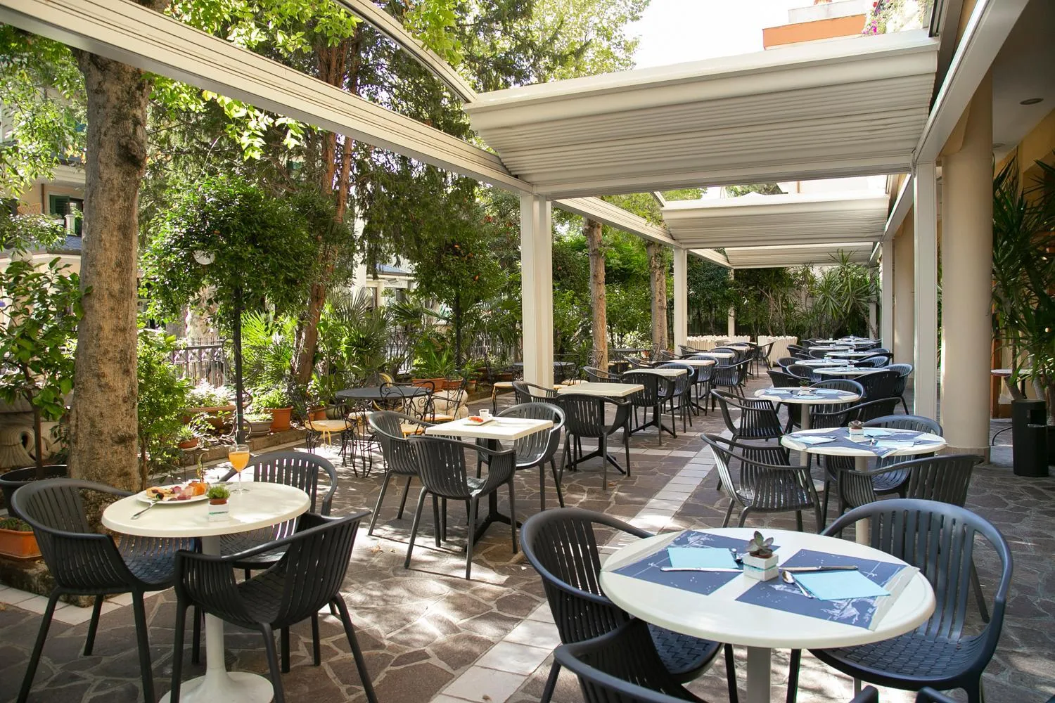 Garden in Hotel Vanni