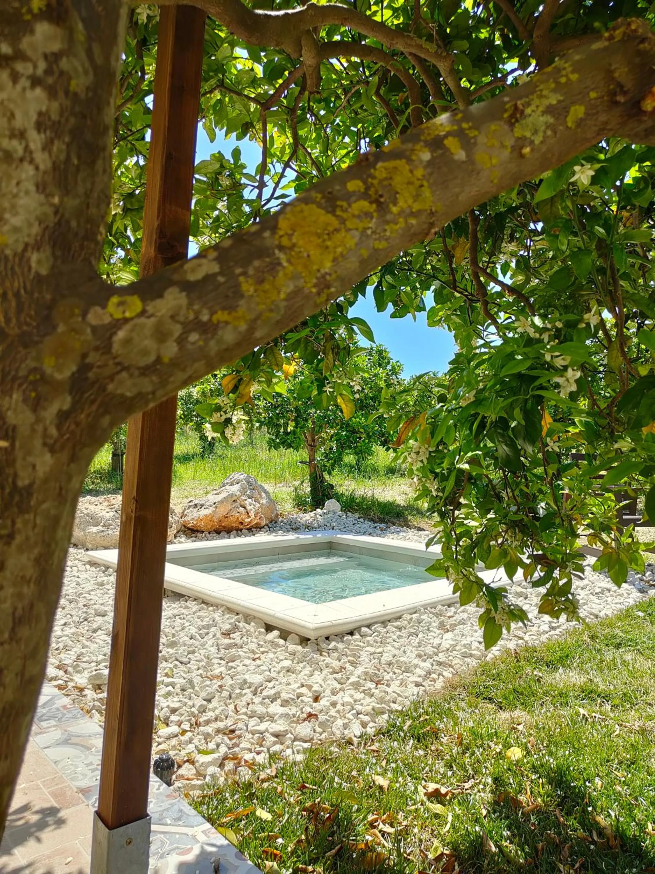 Pool view in AgriBarocco