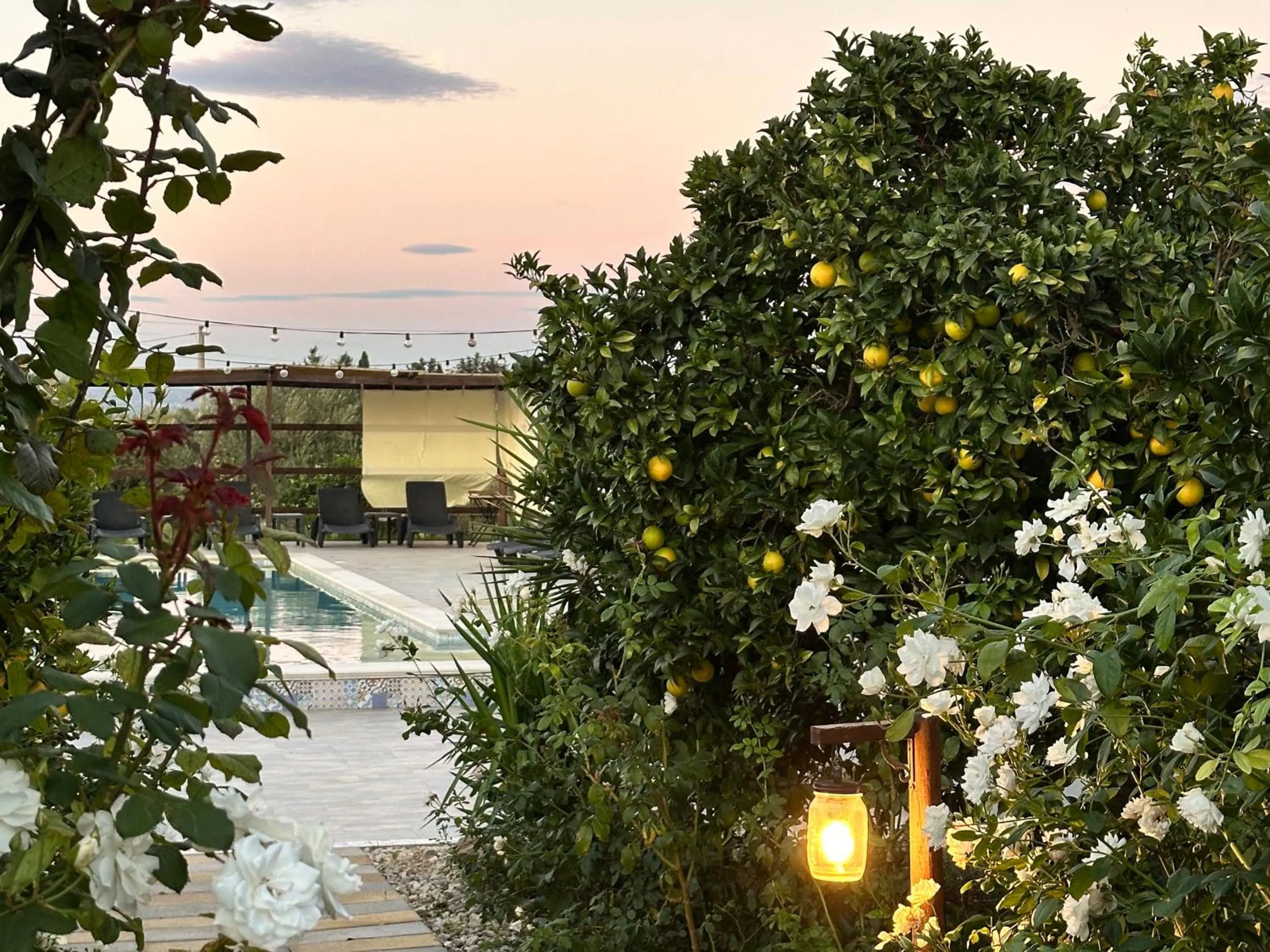 Swimming pool in AgriBarocco