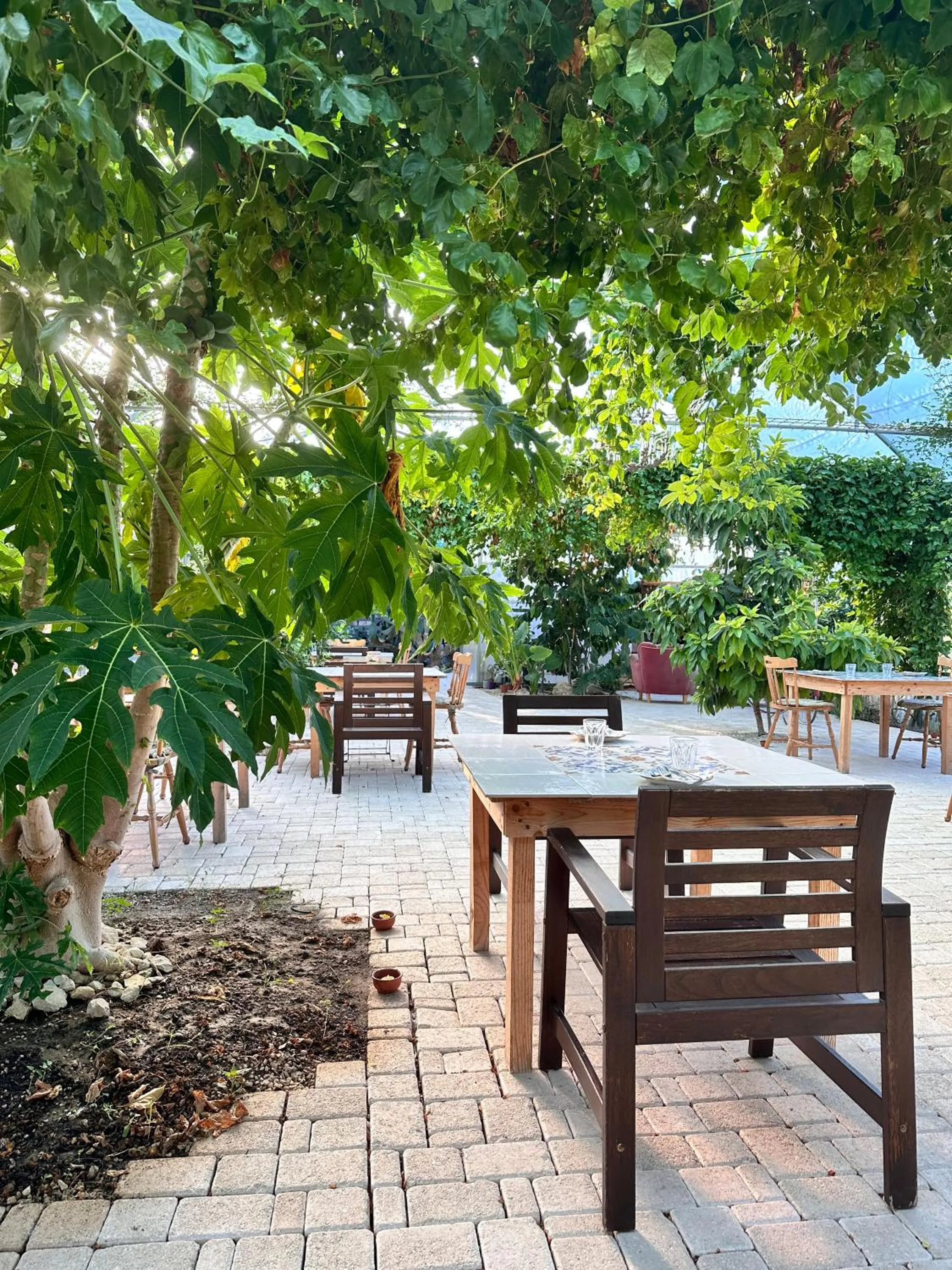 Lunch in AgriBarocco