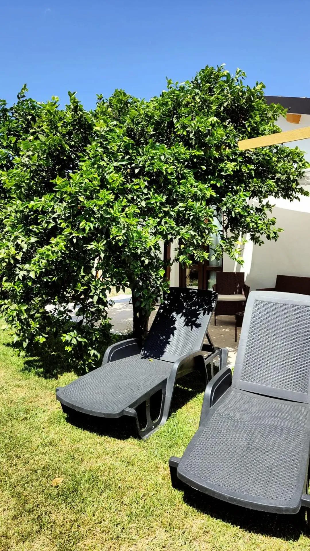 Garden in AgriBarocco