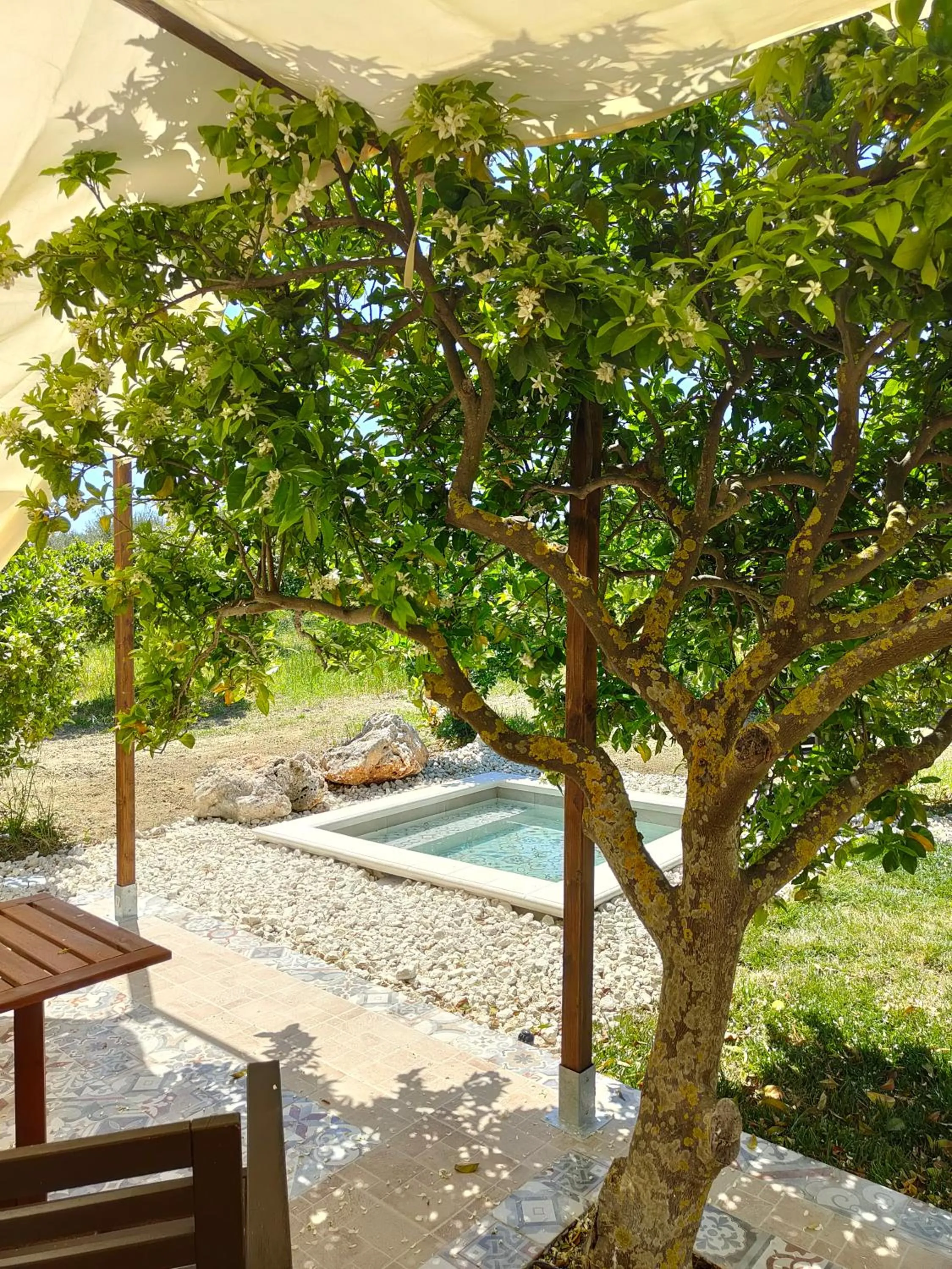 Pool view in AgriBarocco