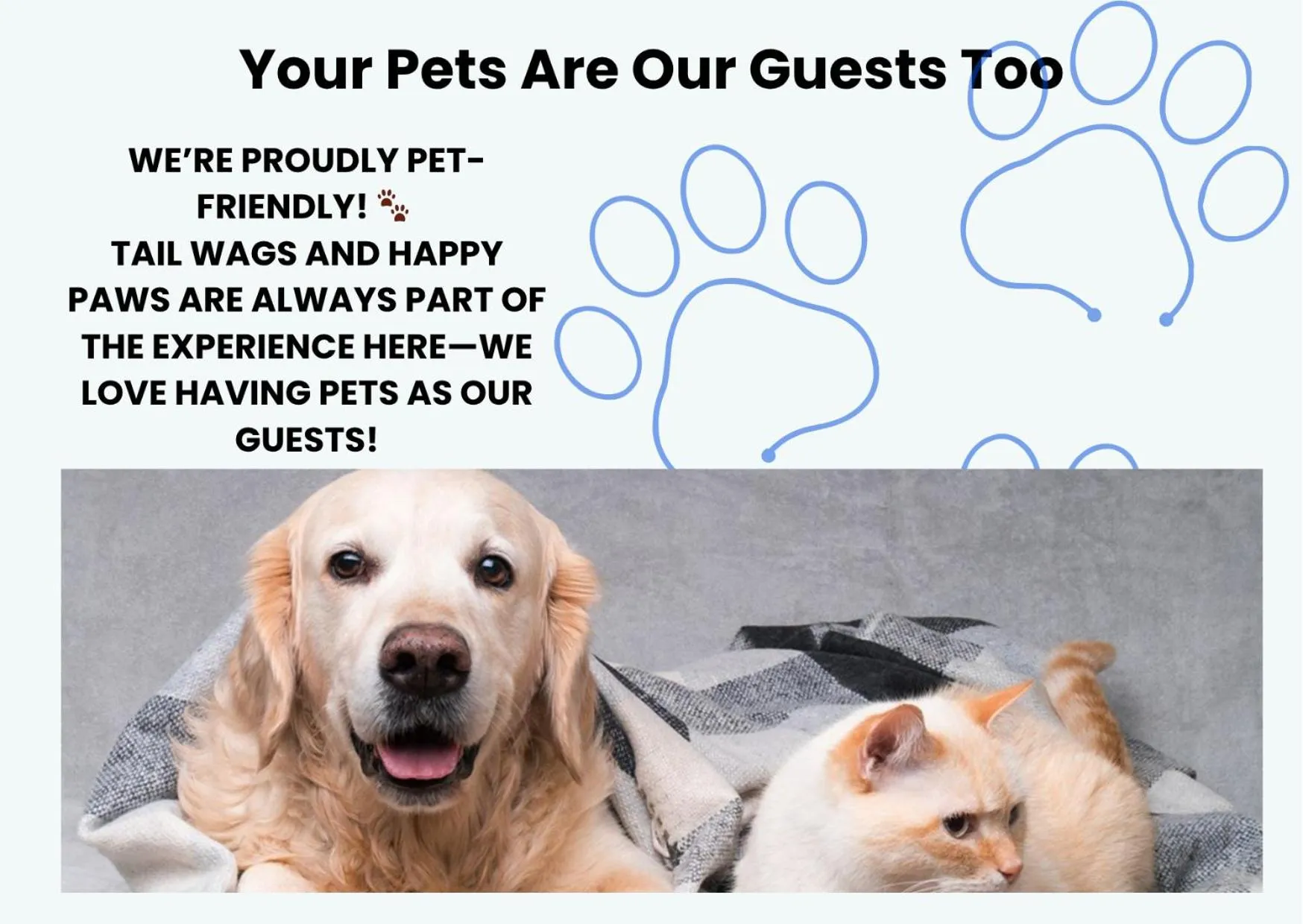 Pets in Good Hotels Downtown Denver